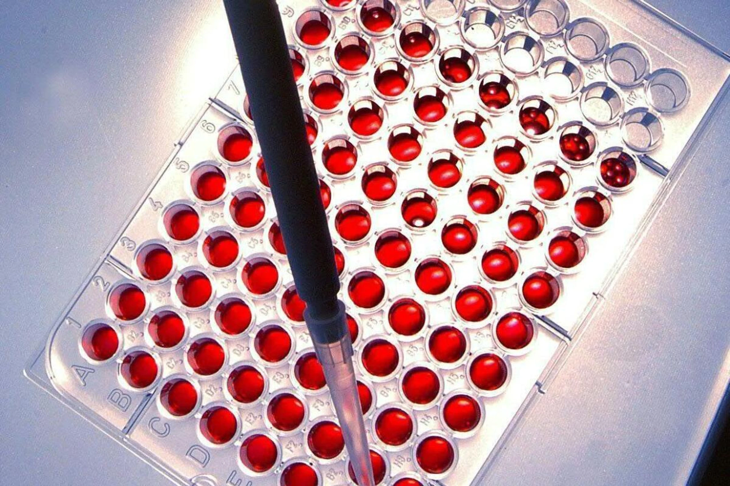 "Spop" heißt der Held