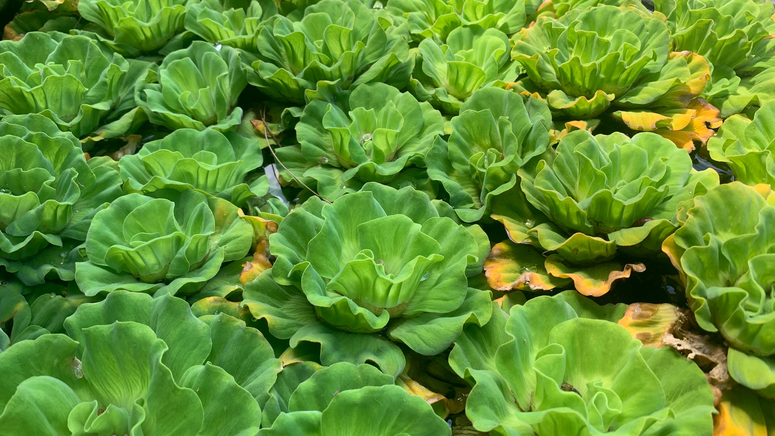 © IMAGO / Panthermedia Blurred image background