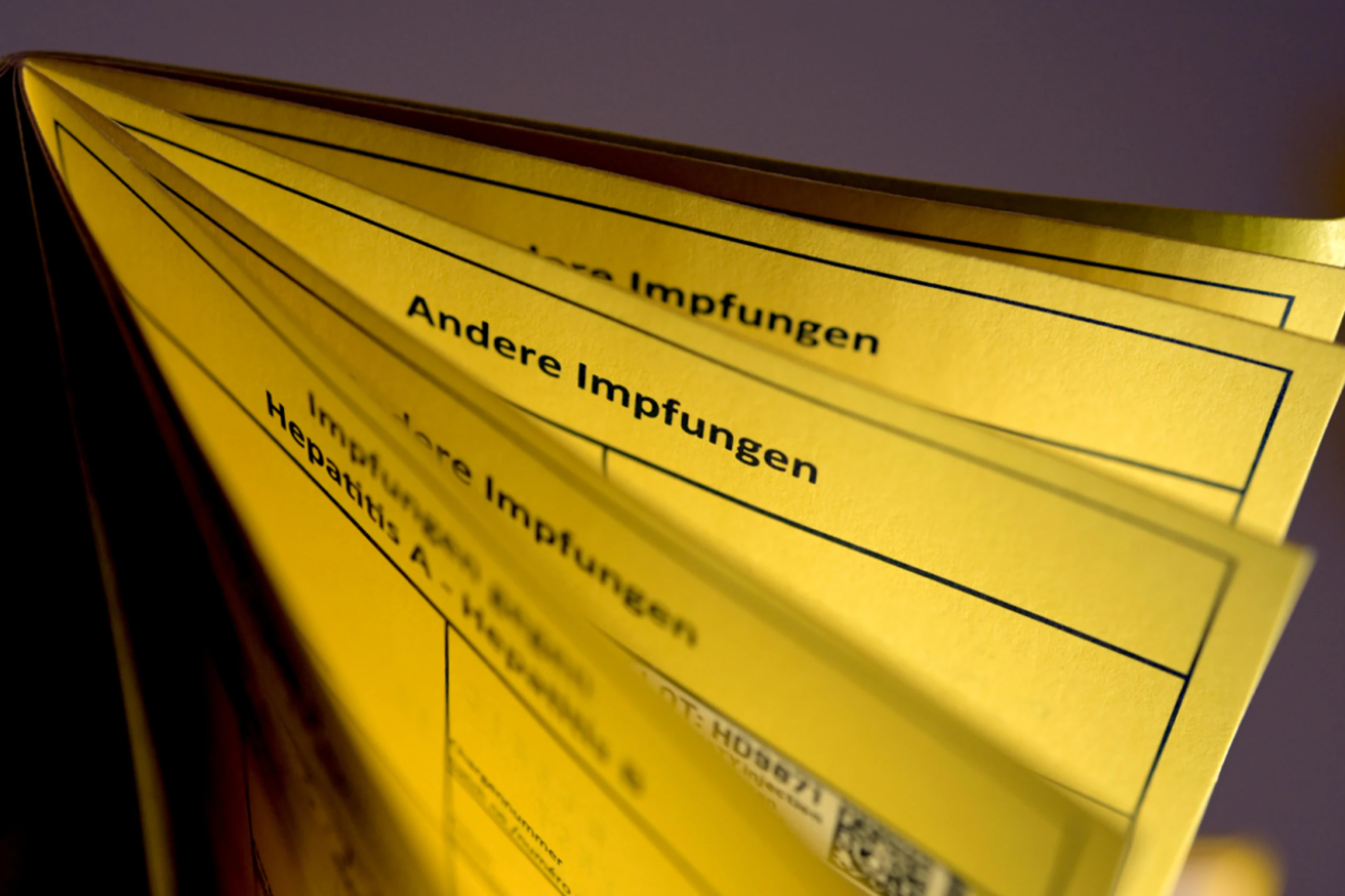 Vizepräsident Wutscher: Bund hat zu wenig bestellt