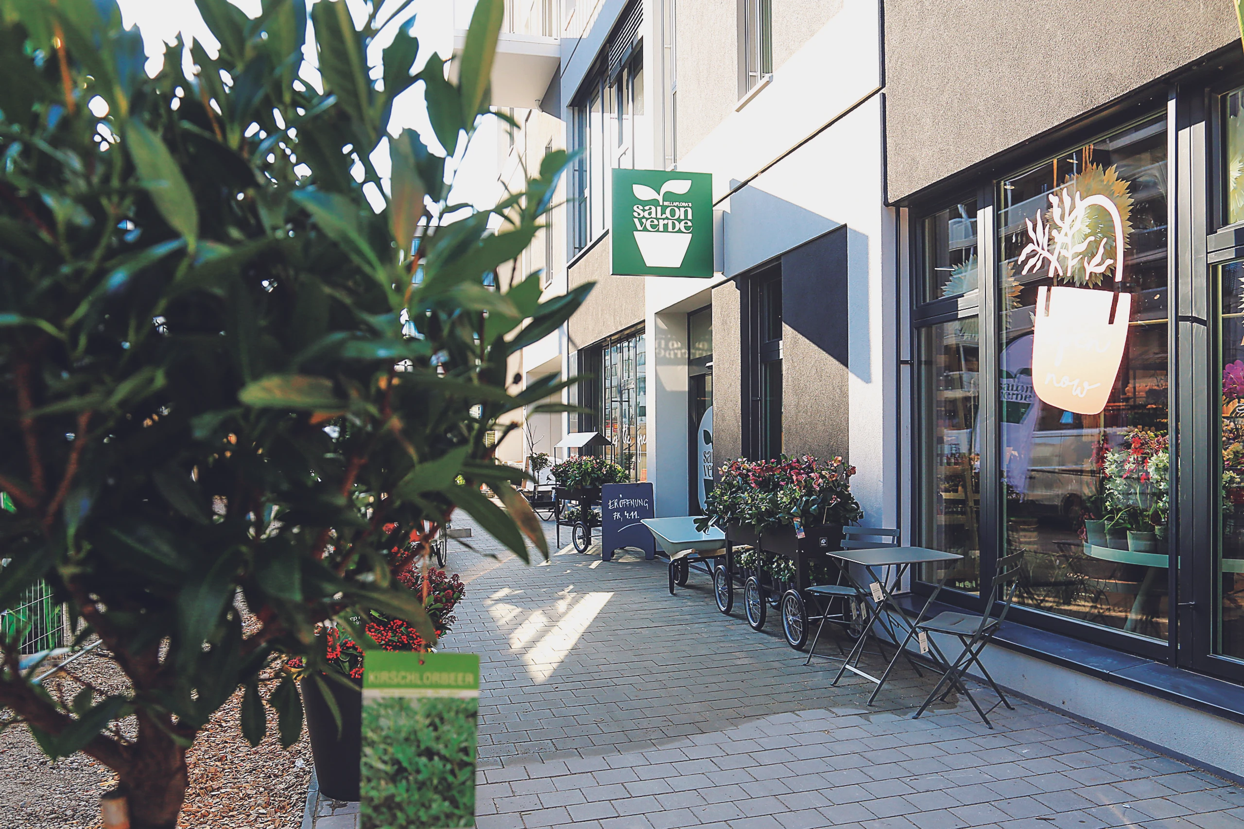 Blurred image background