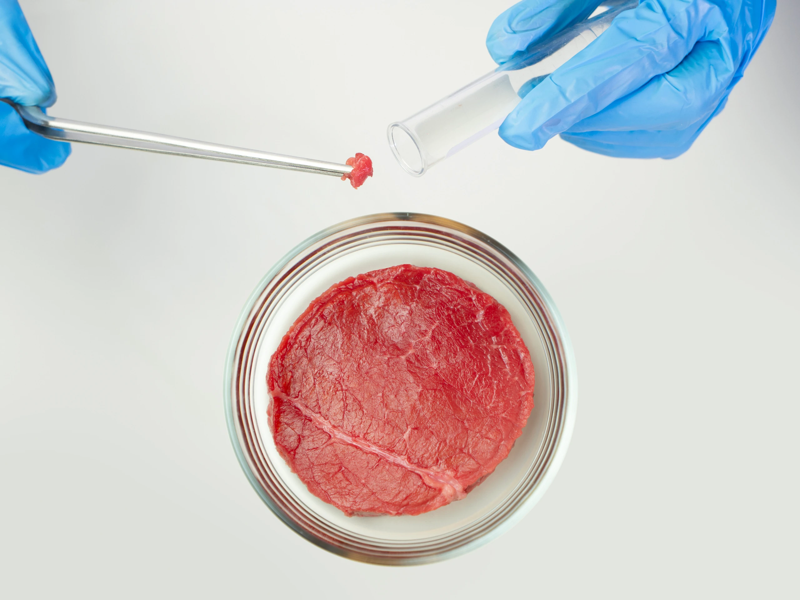 Das waren die 7 spannendsten Food-Trends 2025