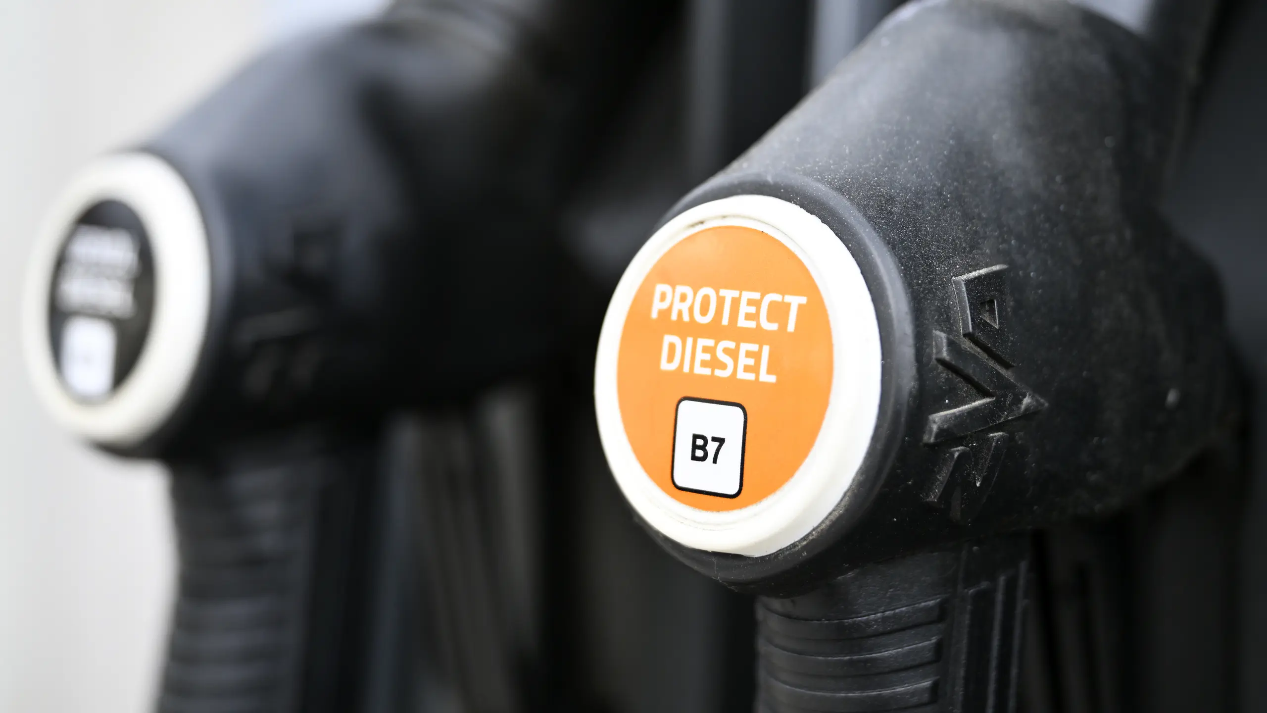 © APA/Hans Klaus Techt Artikelbild