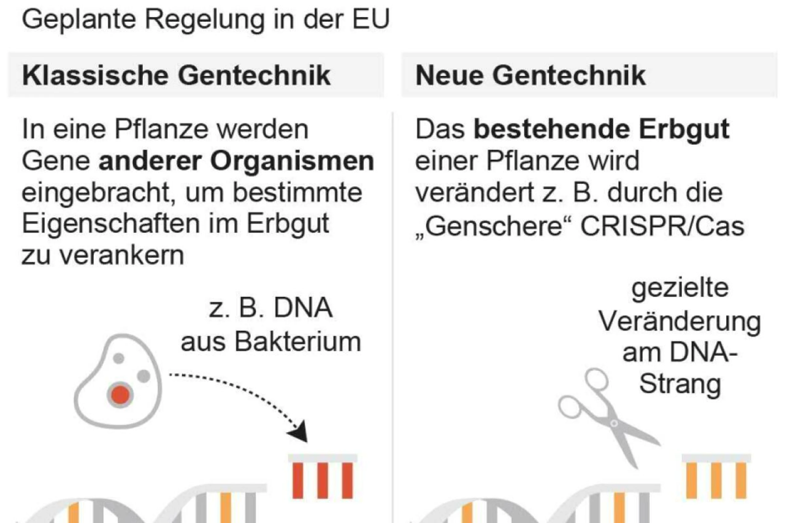 Regeln für Gentechnik-Kennzeichnung