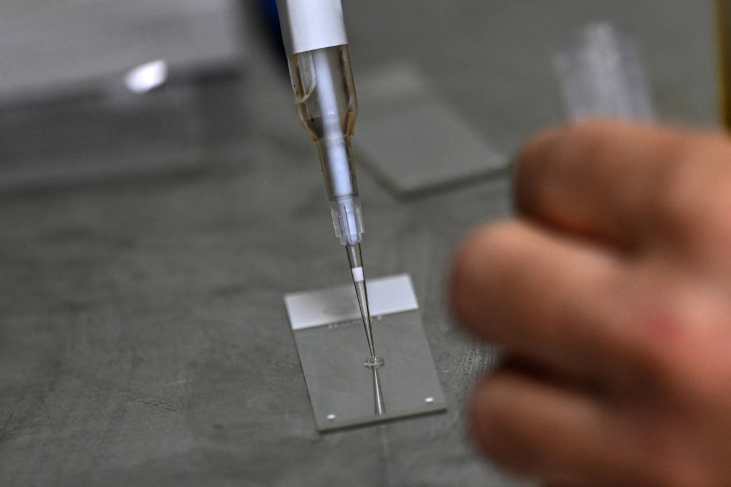 FWF vergibt Geld für neue Grundlagenforschungen