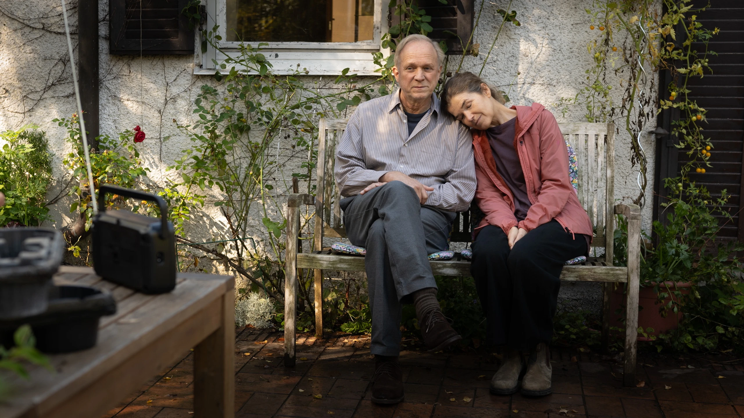 Blurred image background