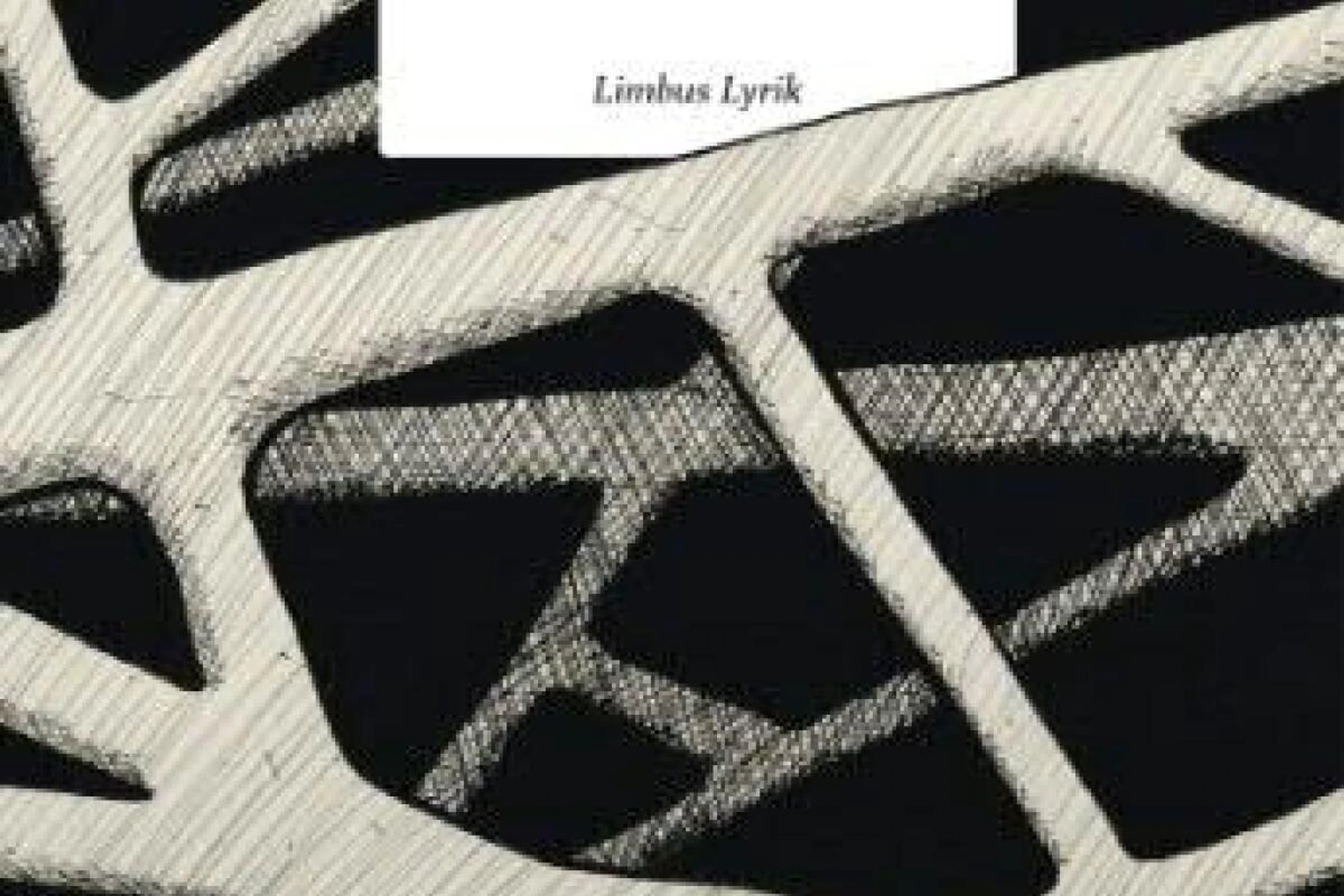 Neuer Gedichtband von Michael Stavarič