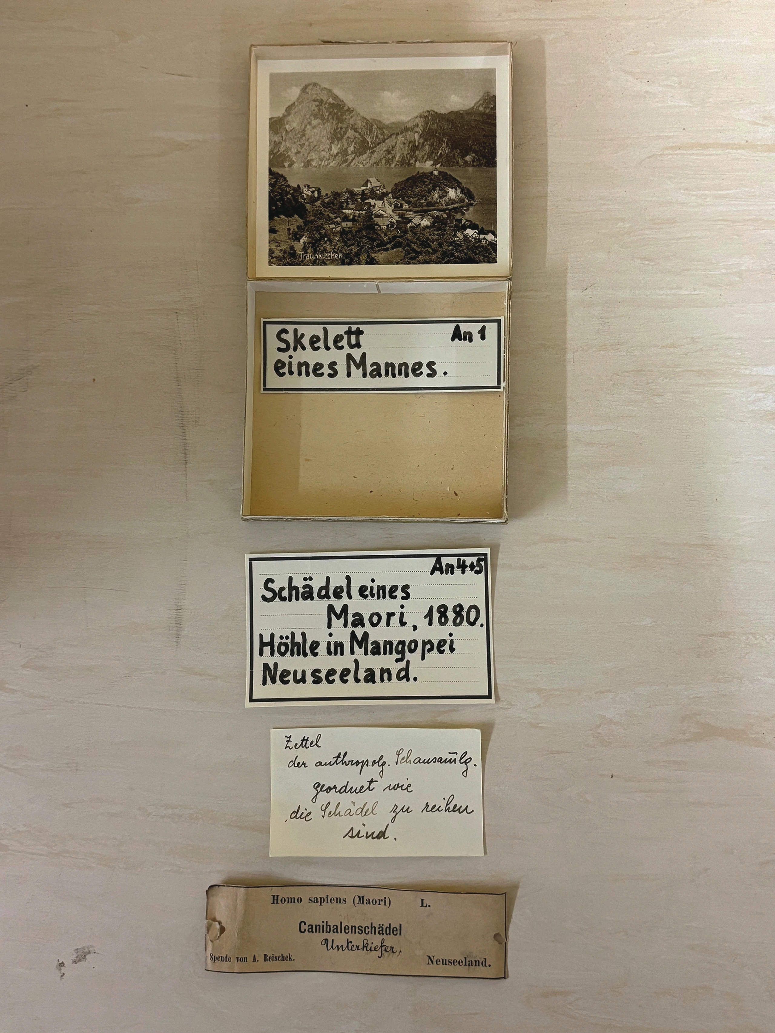 © OÖ LKG / OTS Blurred image background