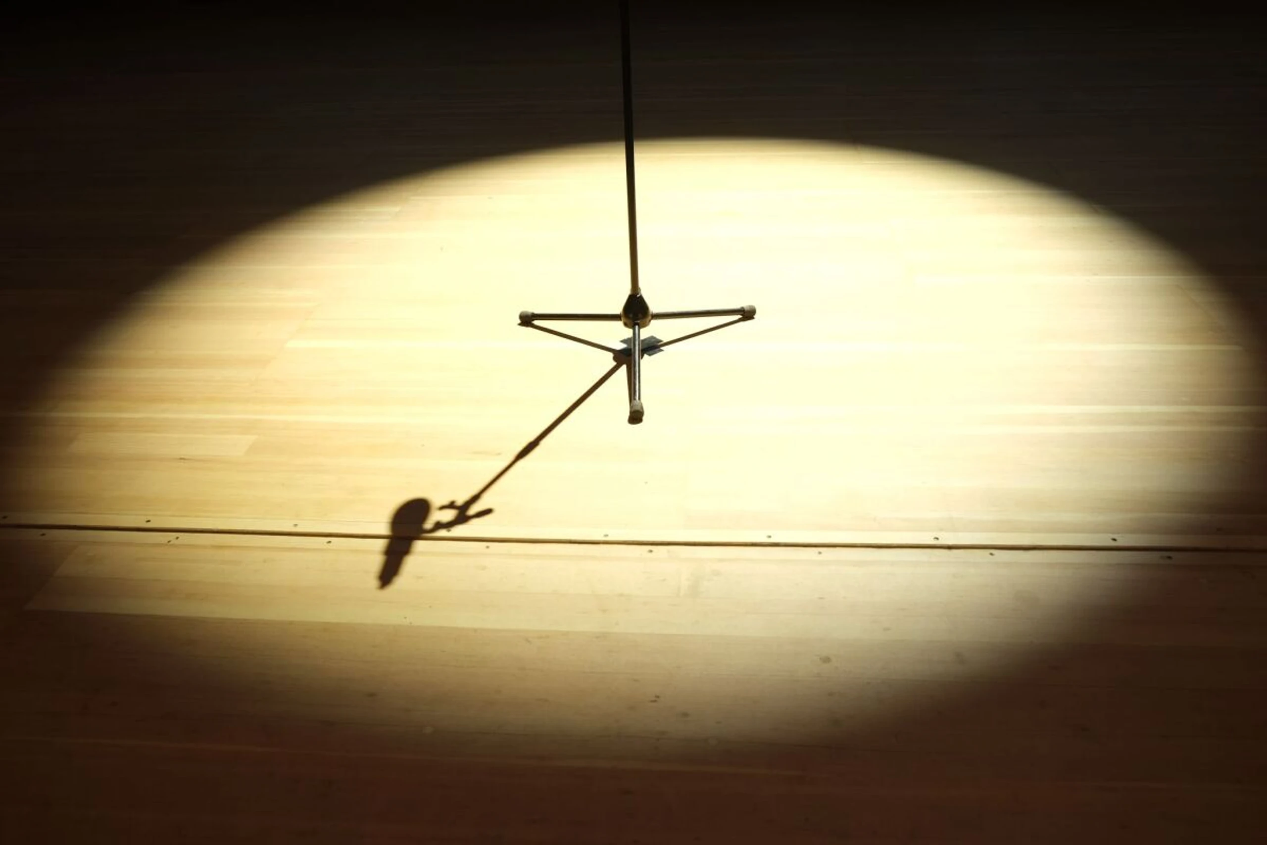 Liedtexte spiegeln gesellschaftliche Trends wider