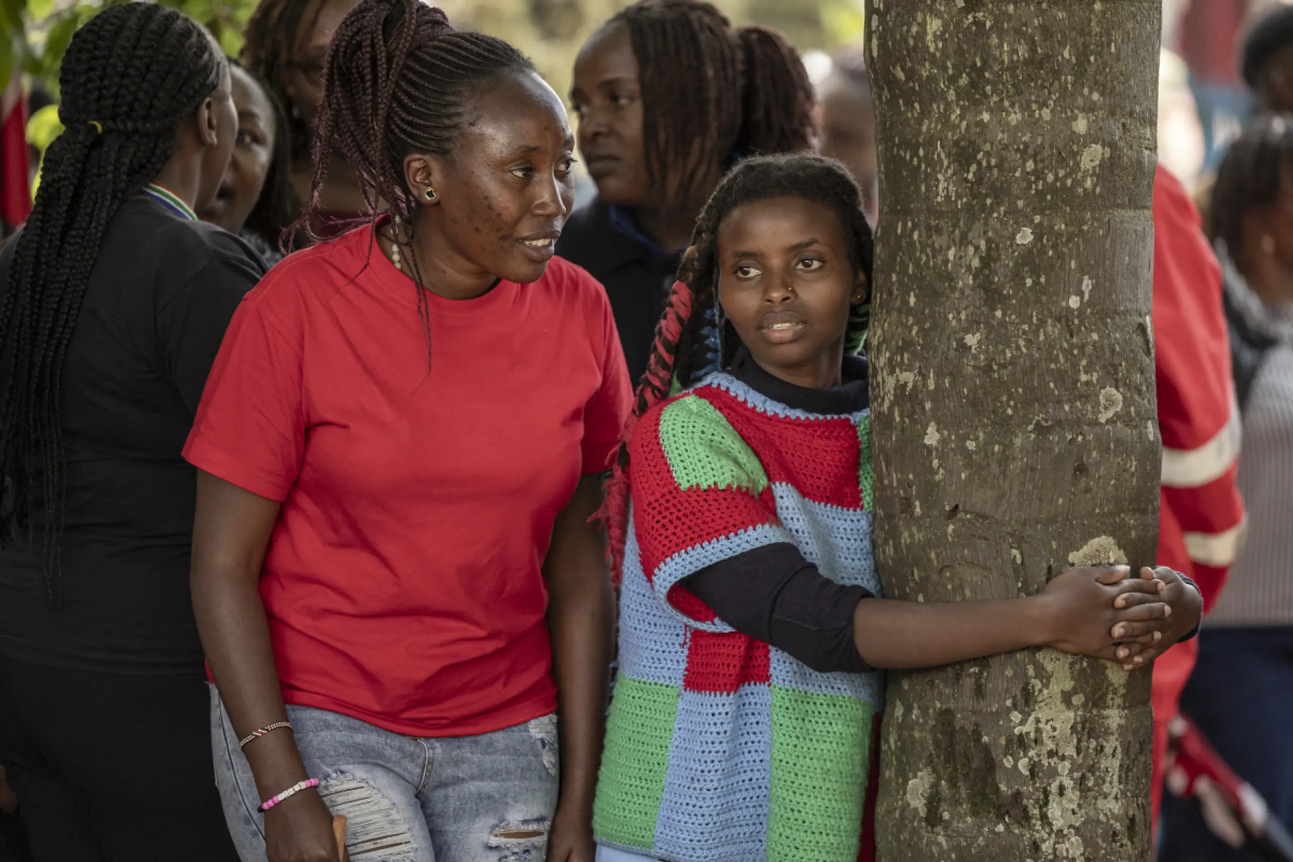 Neuer Rekord im Baumumarmen