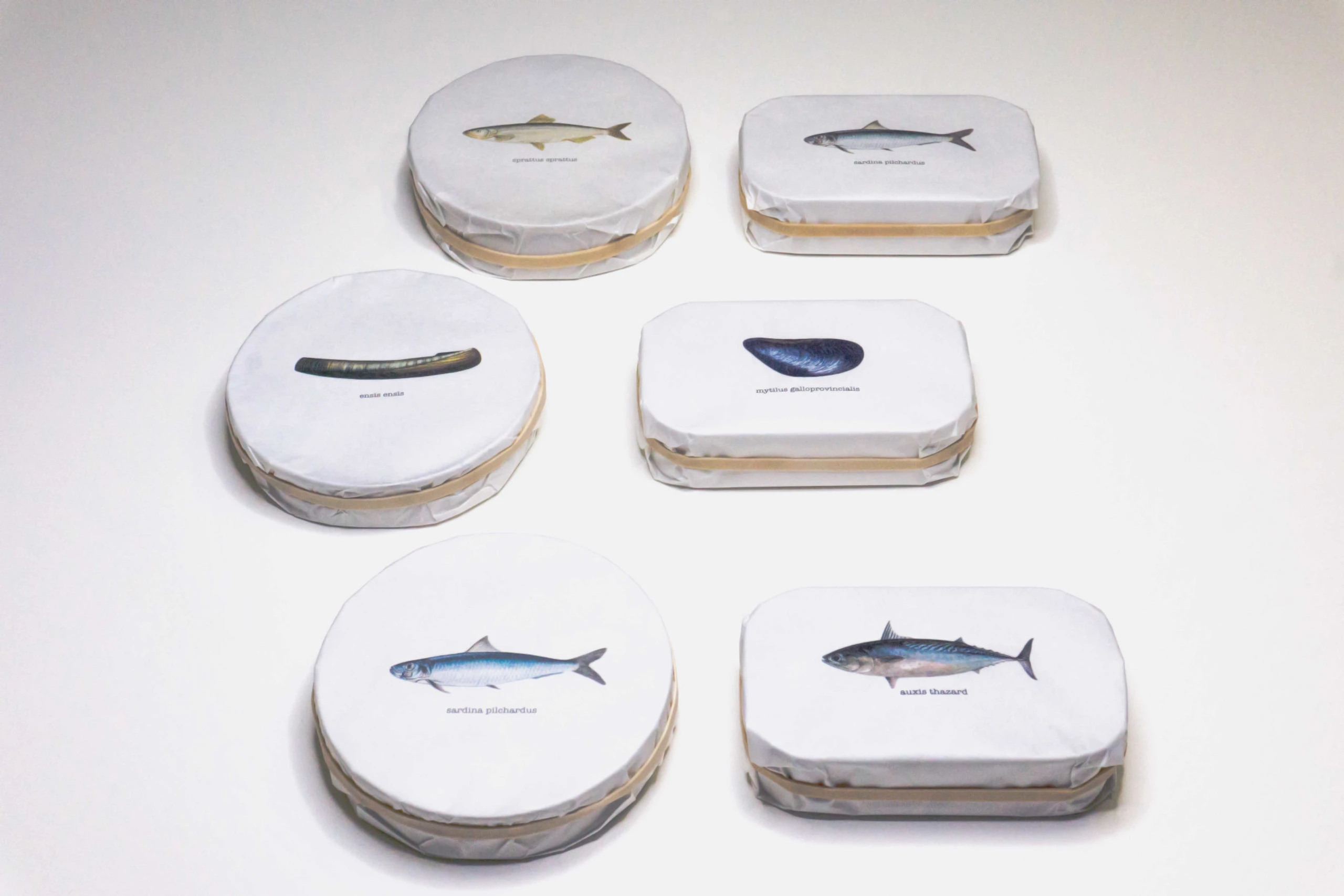 Blurred image background