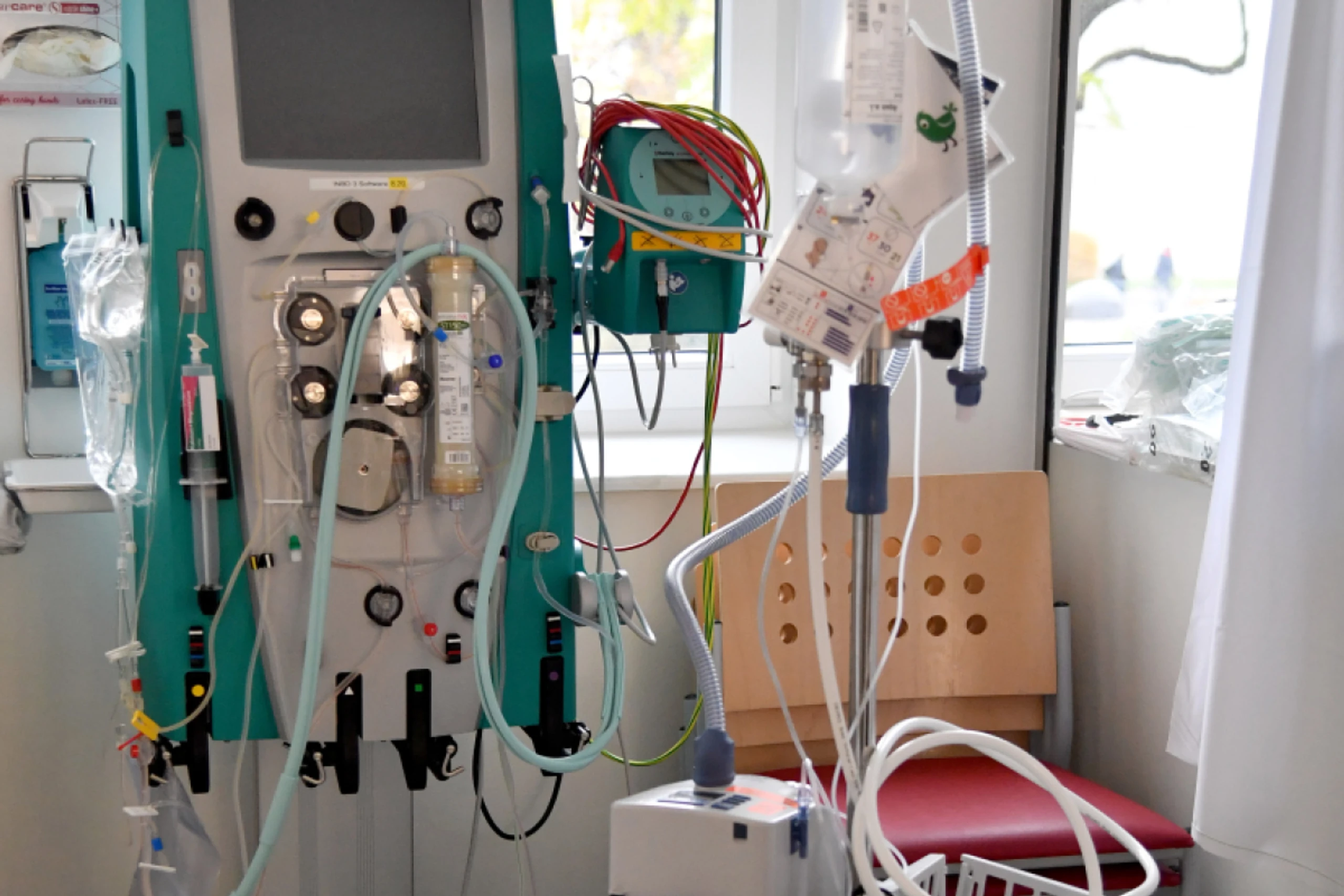 Bei Schwerkranken kann der Pilz gefährliche Infektionen verursachen