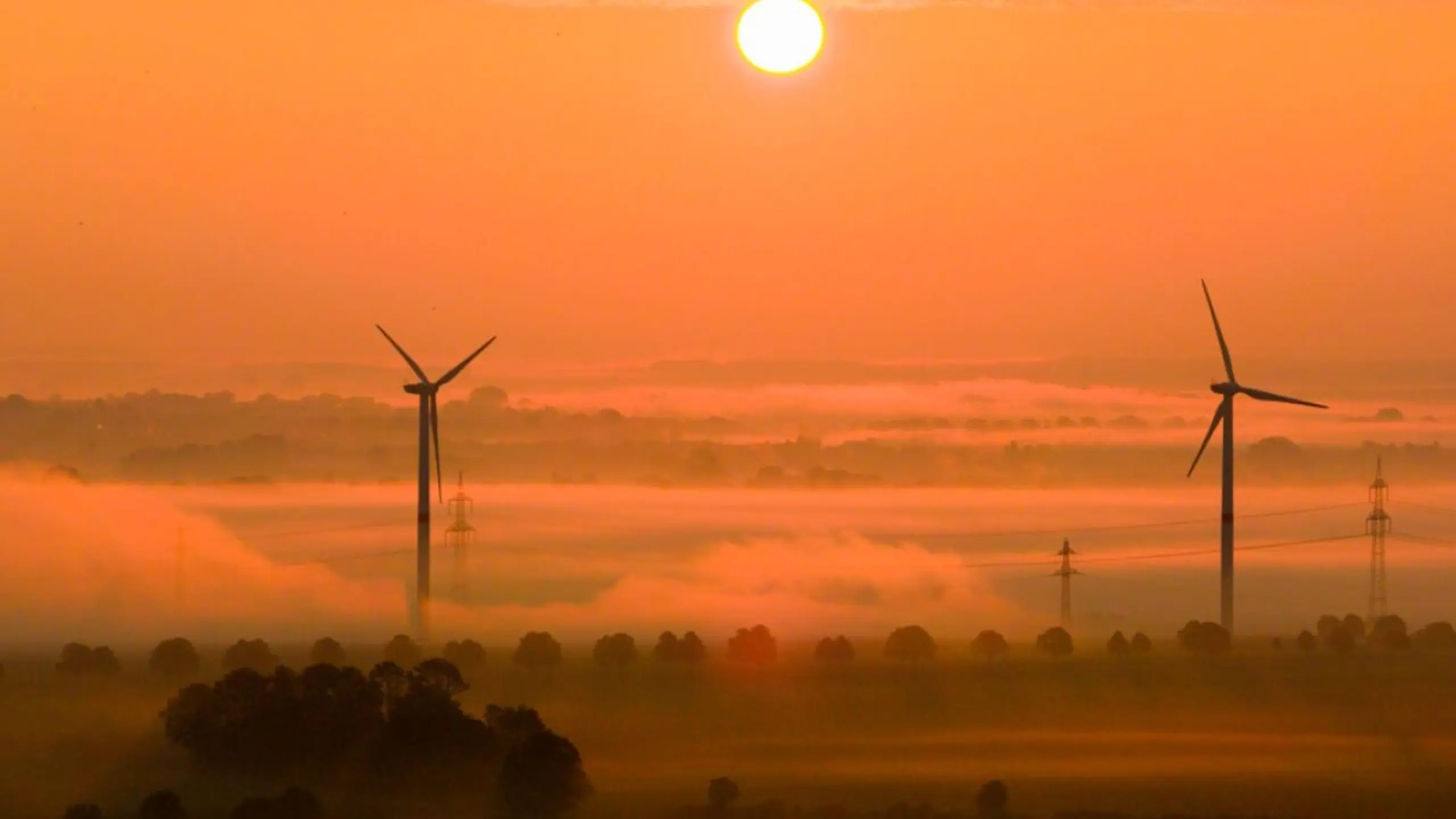 © APA/APA/dpa/Julian Stratenschulte ++ ARCHIVBILD ++ Vor allem Großunternehmen haben Klimaschutz-Ausgaben gekürzt