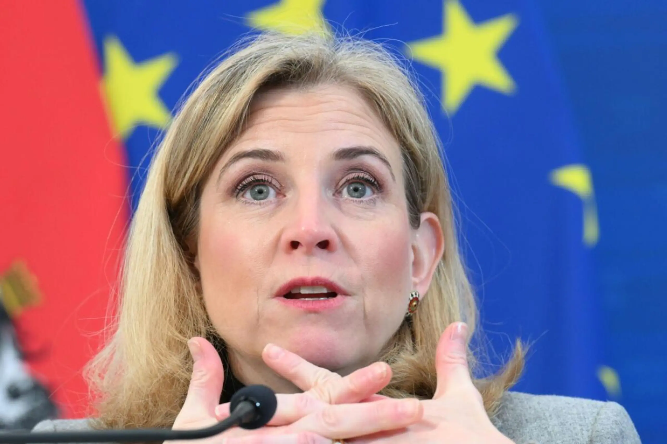 Außenministerin Meinl-Reisinger