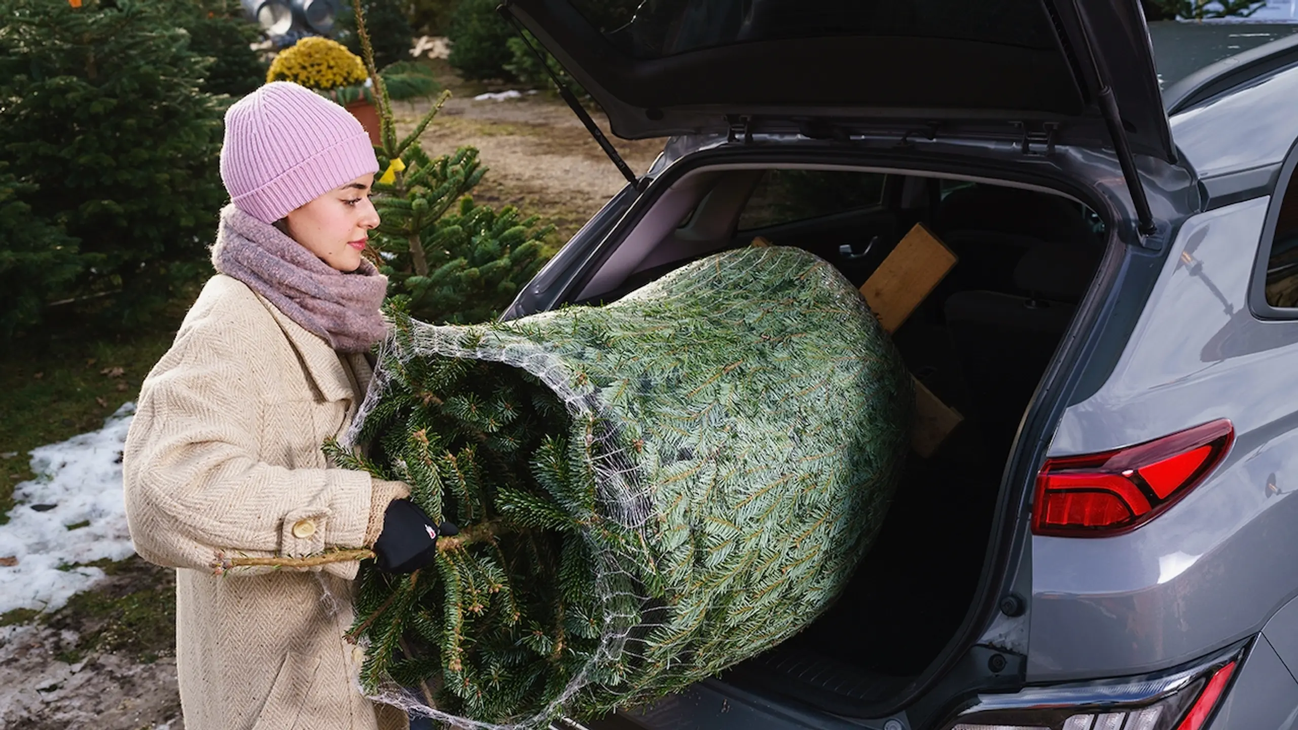 © Zolles KG/Christian Hofer Artikelbild