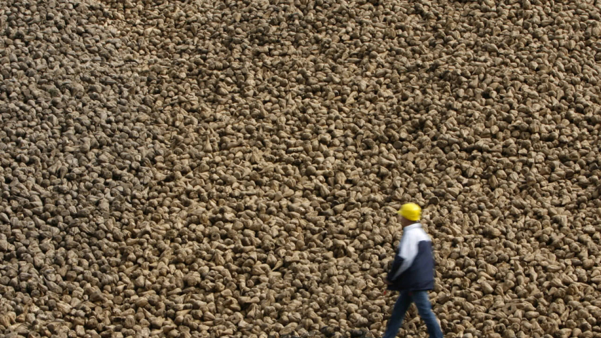 Auch in kommendem Geschäftsjahr schwieriger Markt gesehen