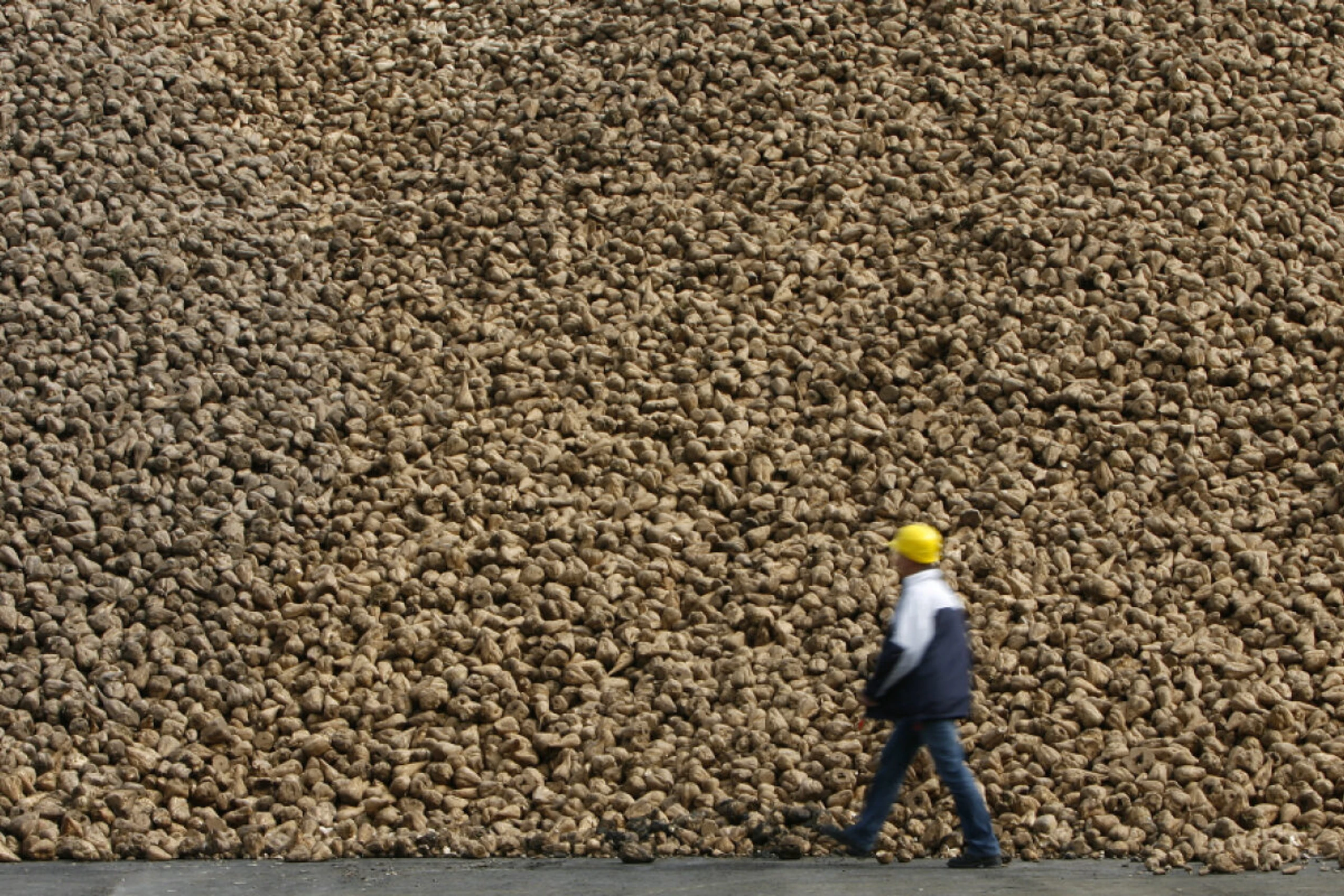 Auch in kommendem Geschäftsjahr schwieriger Markt gesehen