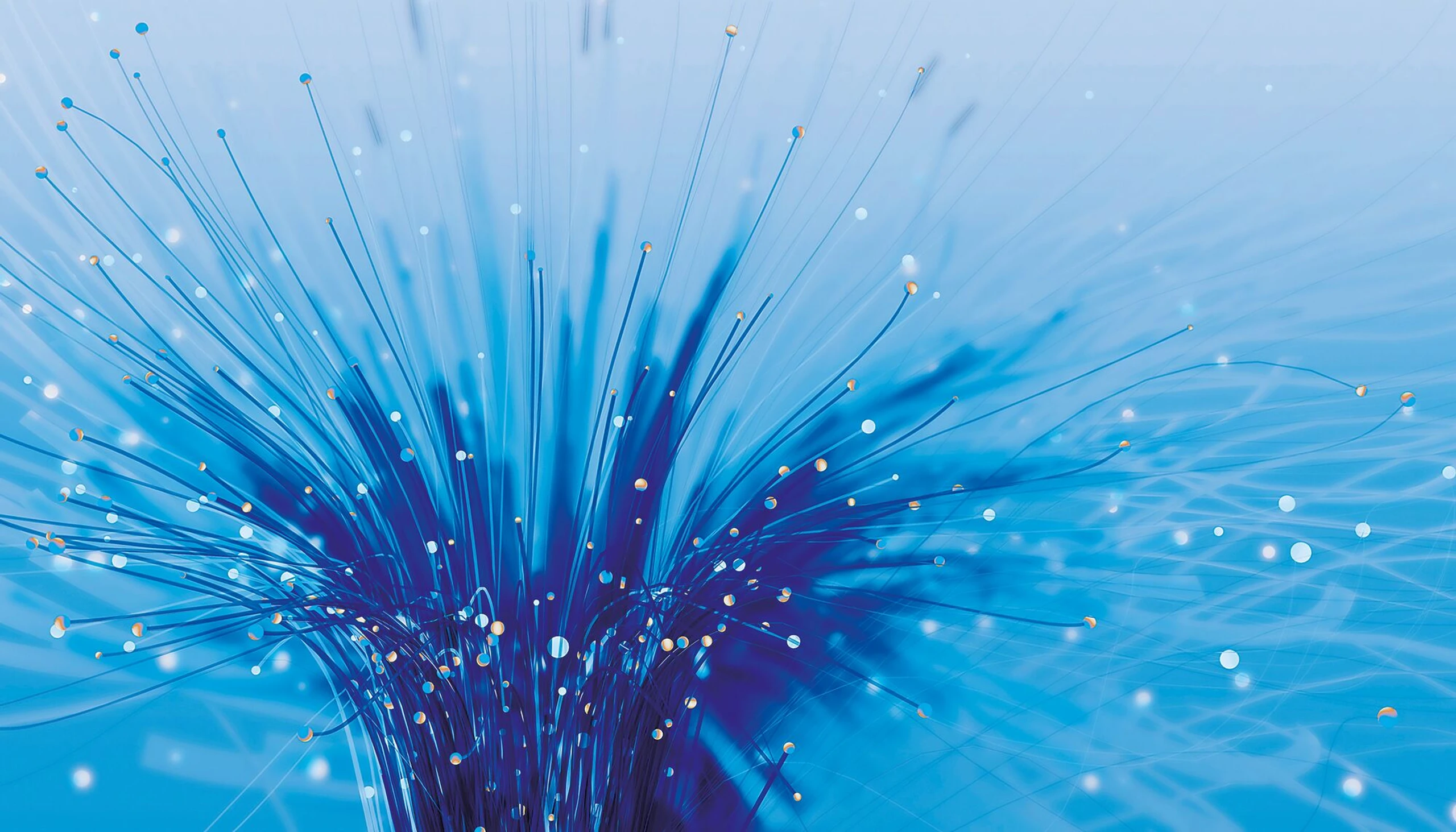 Österreichs digitales Dilemma