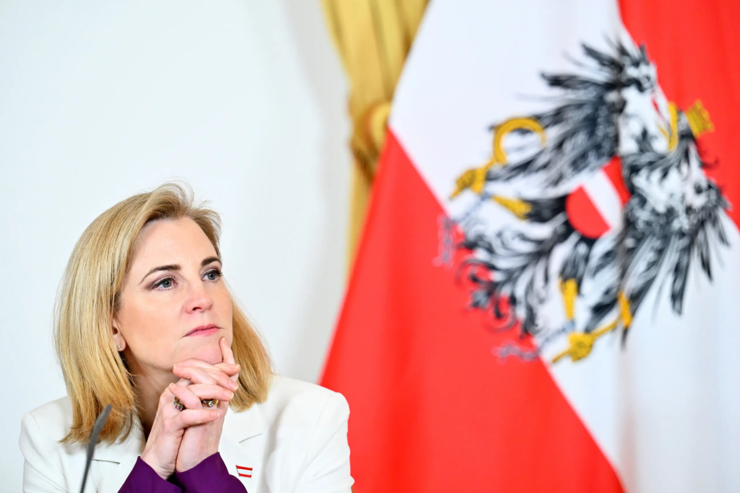 Außenministerin Meinl-Reisinger (Archivbild)