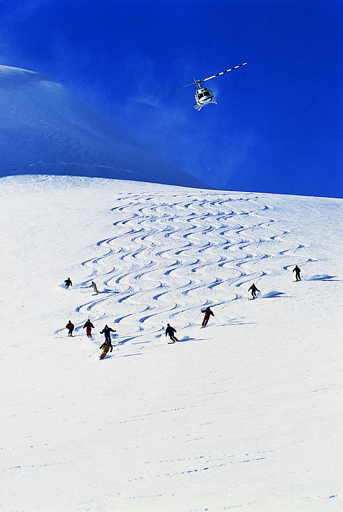 Blurred image background