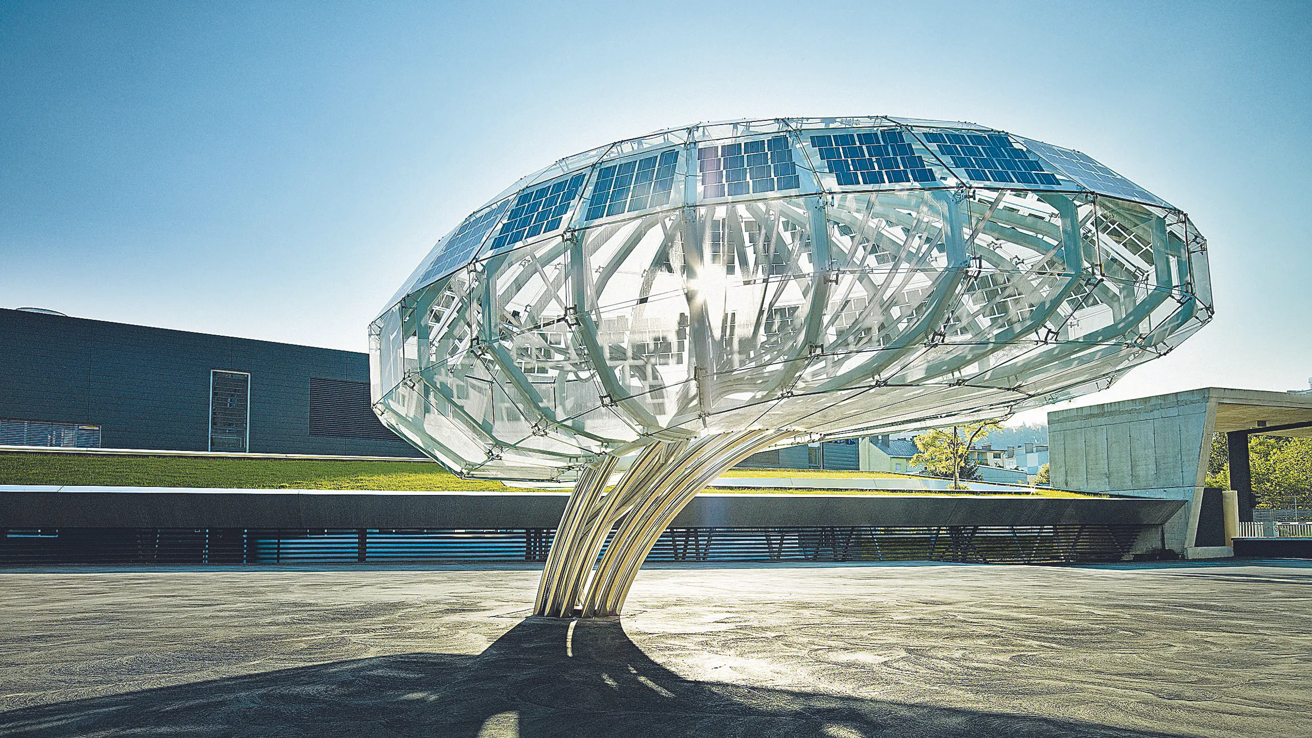 © Beigestellt Artikelbild