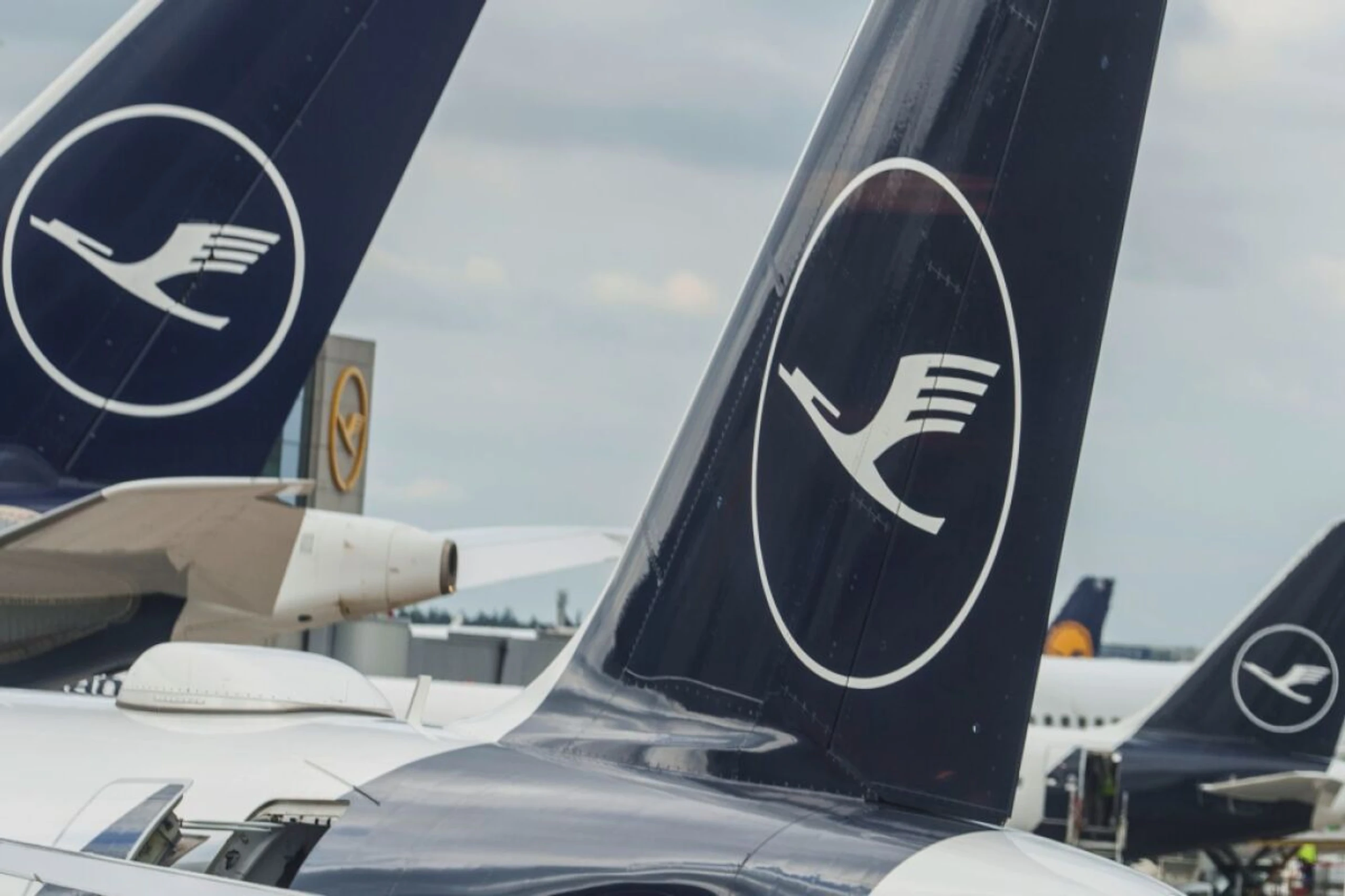 Lufthansa-Chef erwartet Wachstum und höhere Preise