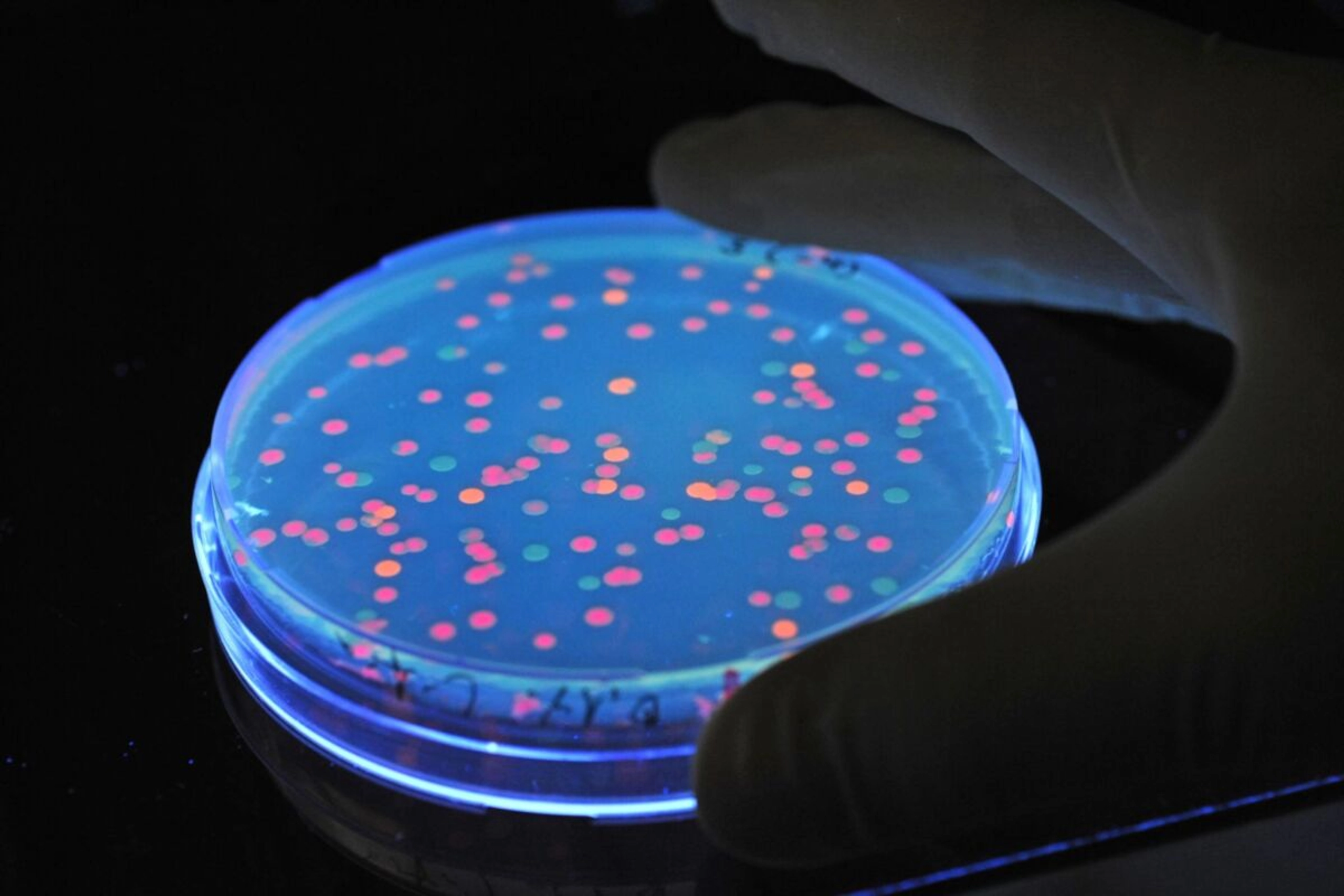Wissenschaftsbarometer der ÖAW präsentiert