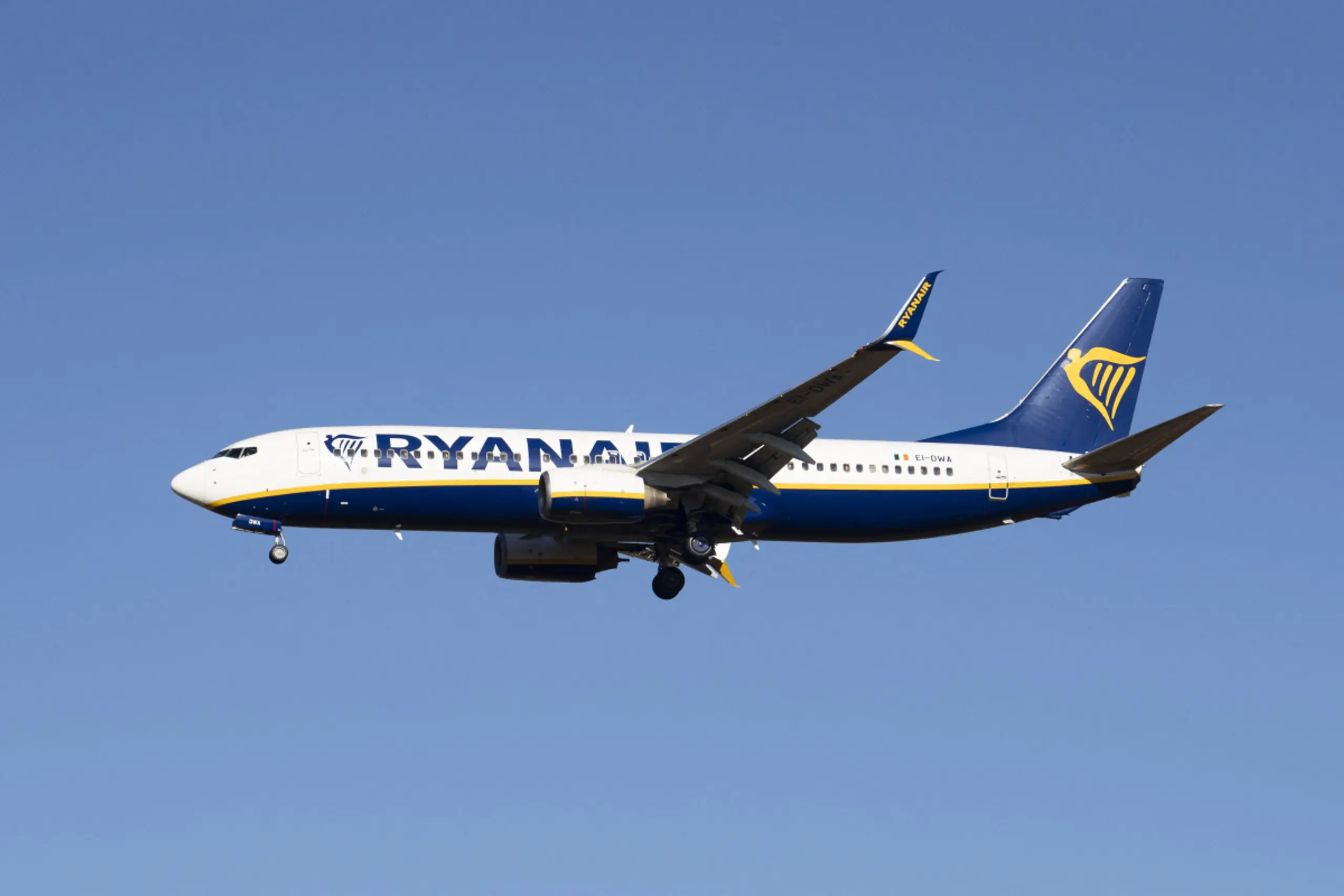 Ryanair kommt auf Marktanteil von bis zu 40 Prozent