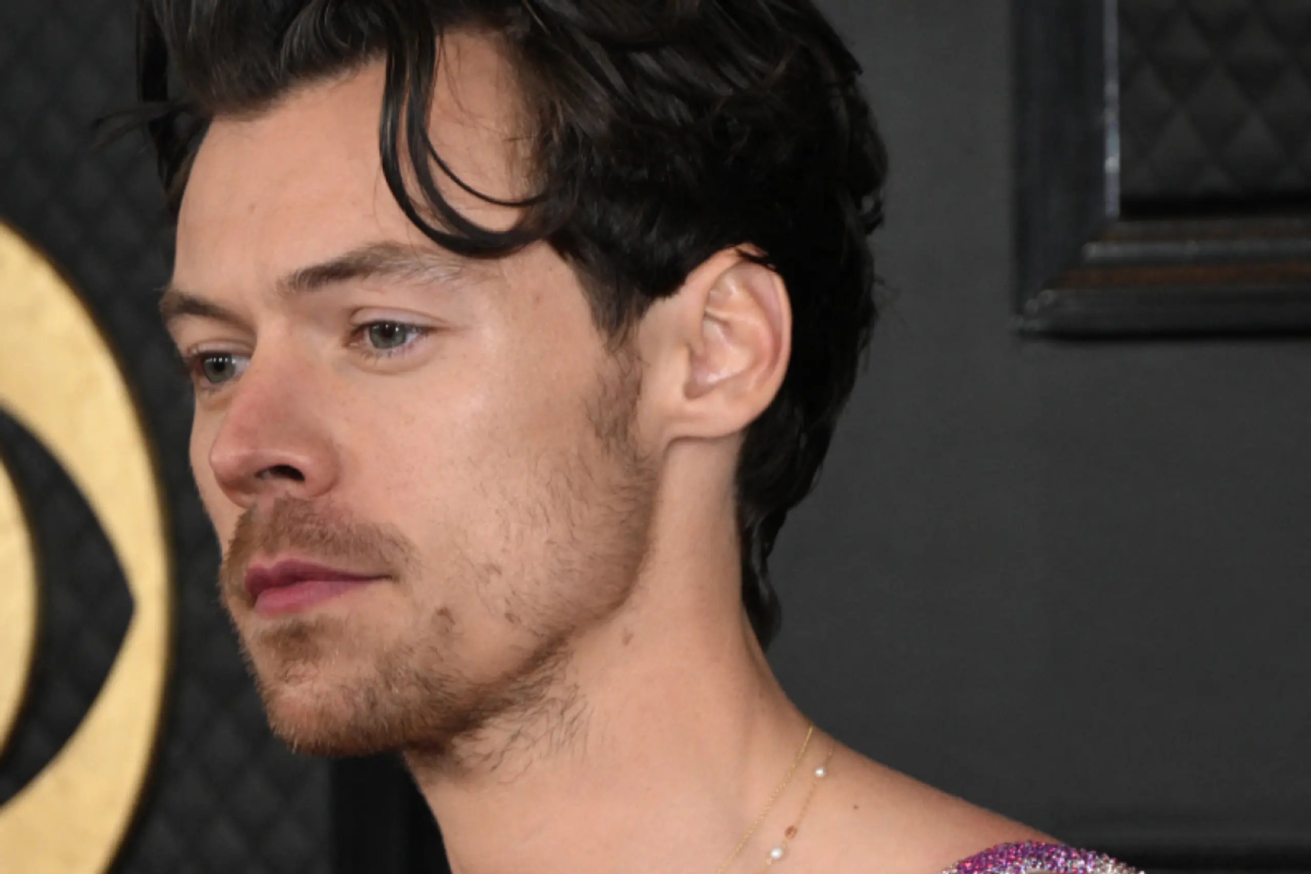 Zeigt sich Harry Styles offen für die Fortsetzung seiner Musikarriere?