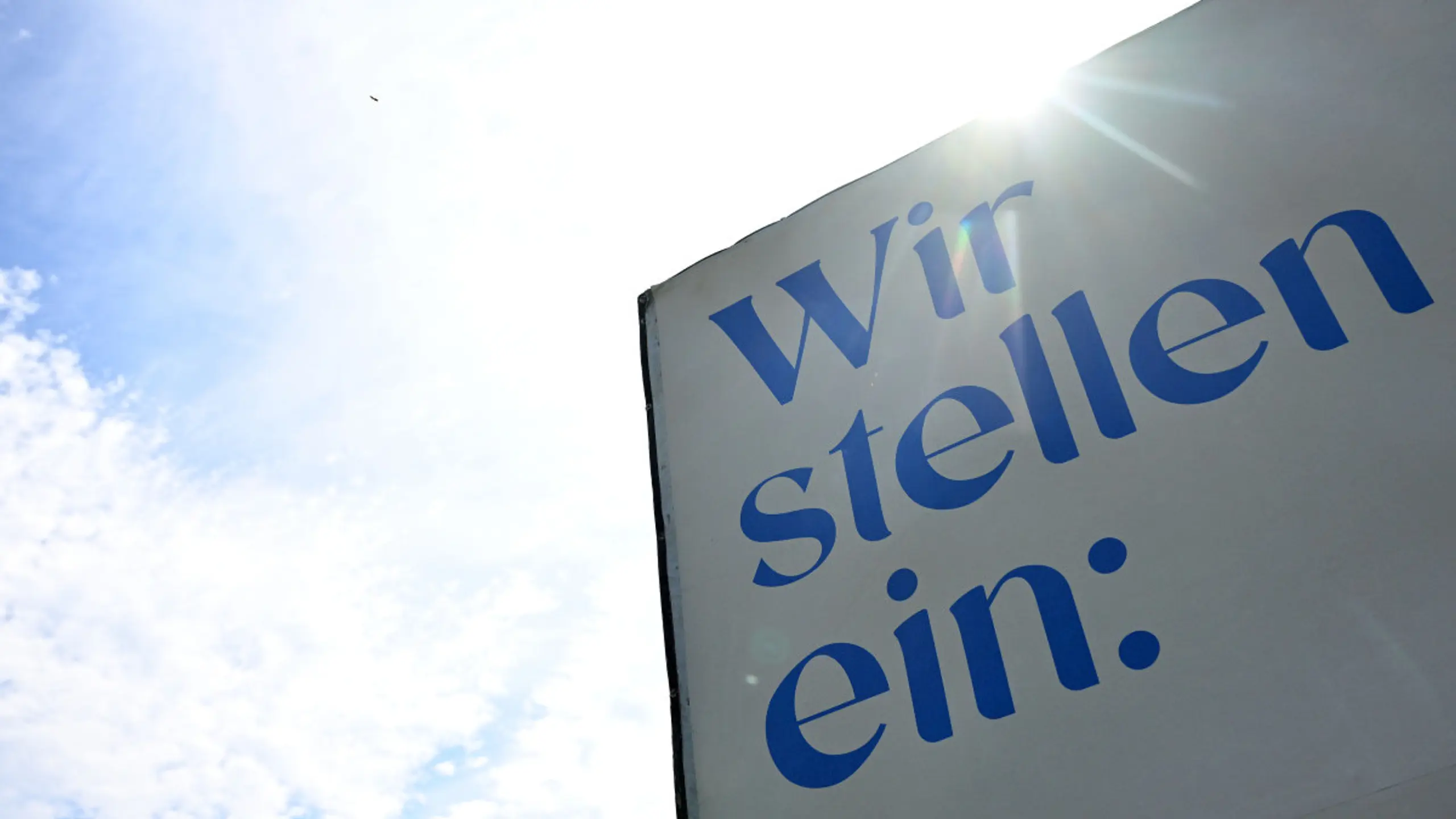 IW-Umfrage unter Wirtschaftsverbänden