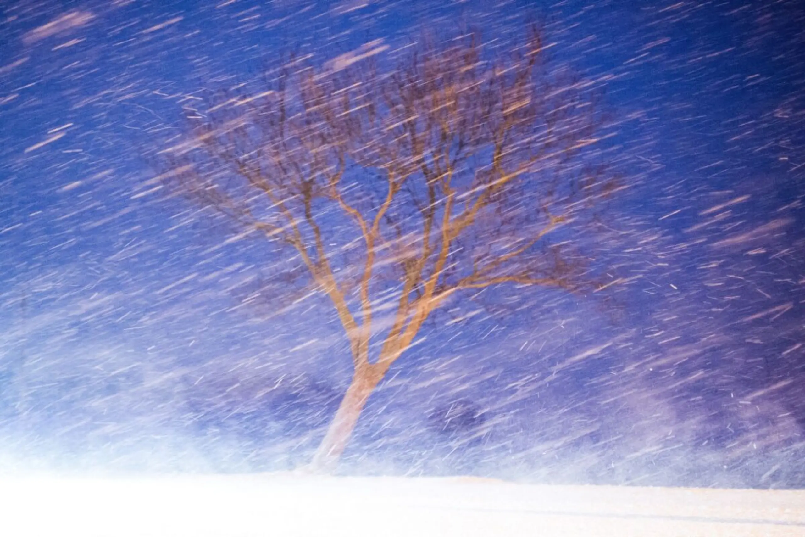 ++ ARCHIVBILD ++ Lange Belichtungszeiten bei Wind und Sturm machen Bewegungen sichtbar