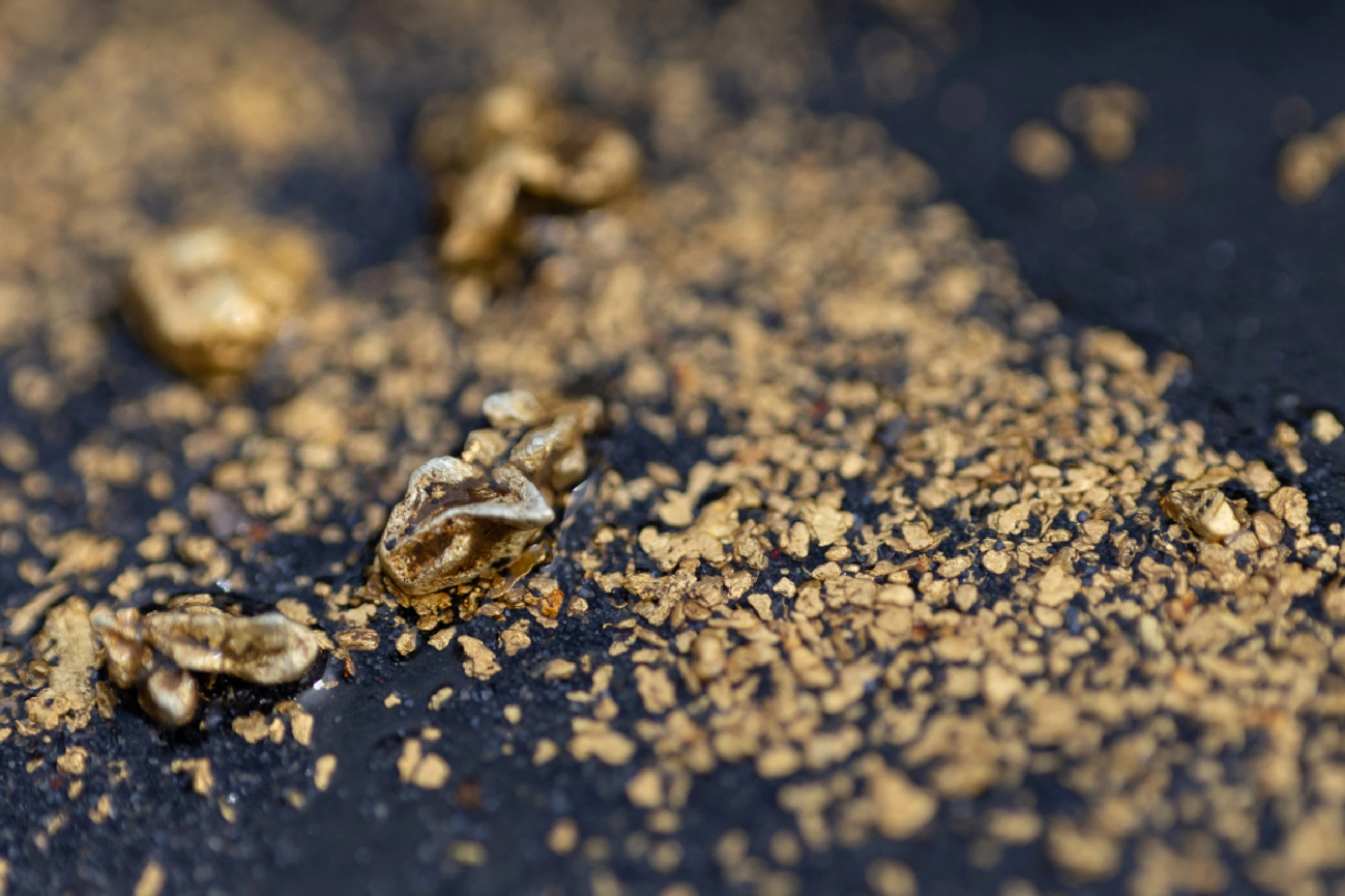 Venezuelas Regierung schätzt die Goldressourcen des Landes auf 644 Tonnen