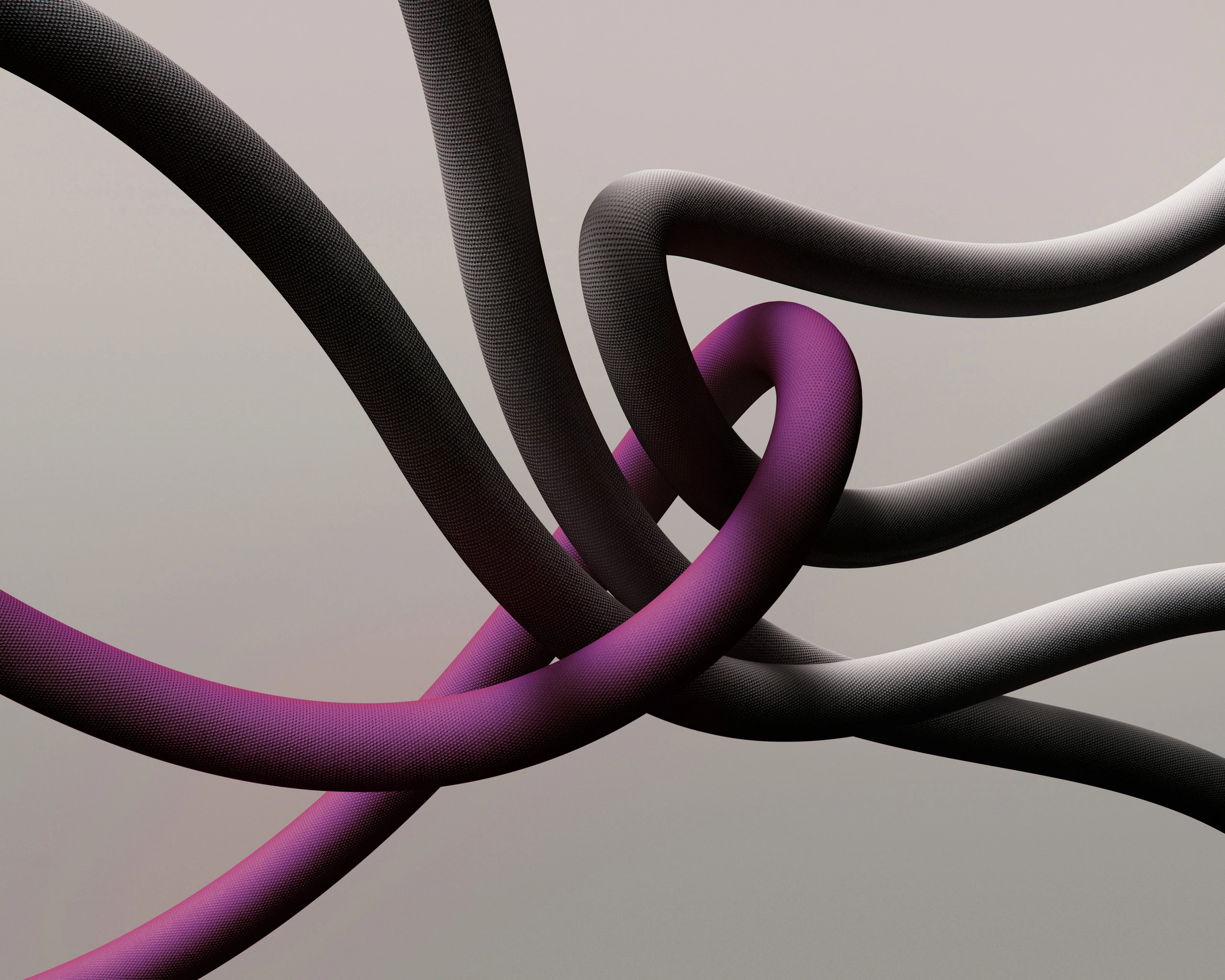 Anita Frauwallner: Erfolg mit Probiotika und Darmgesundheit