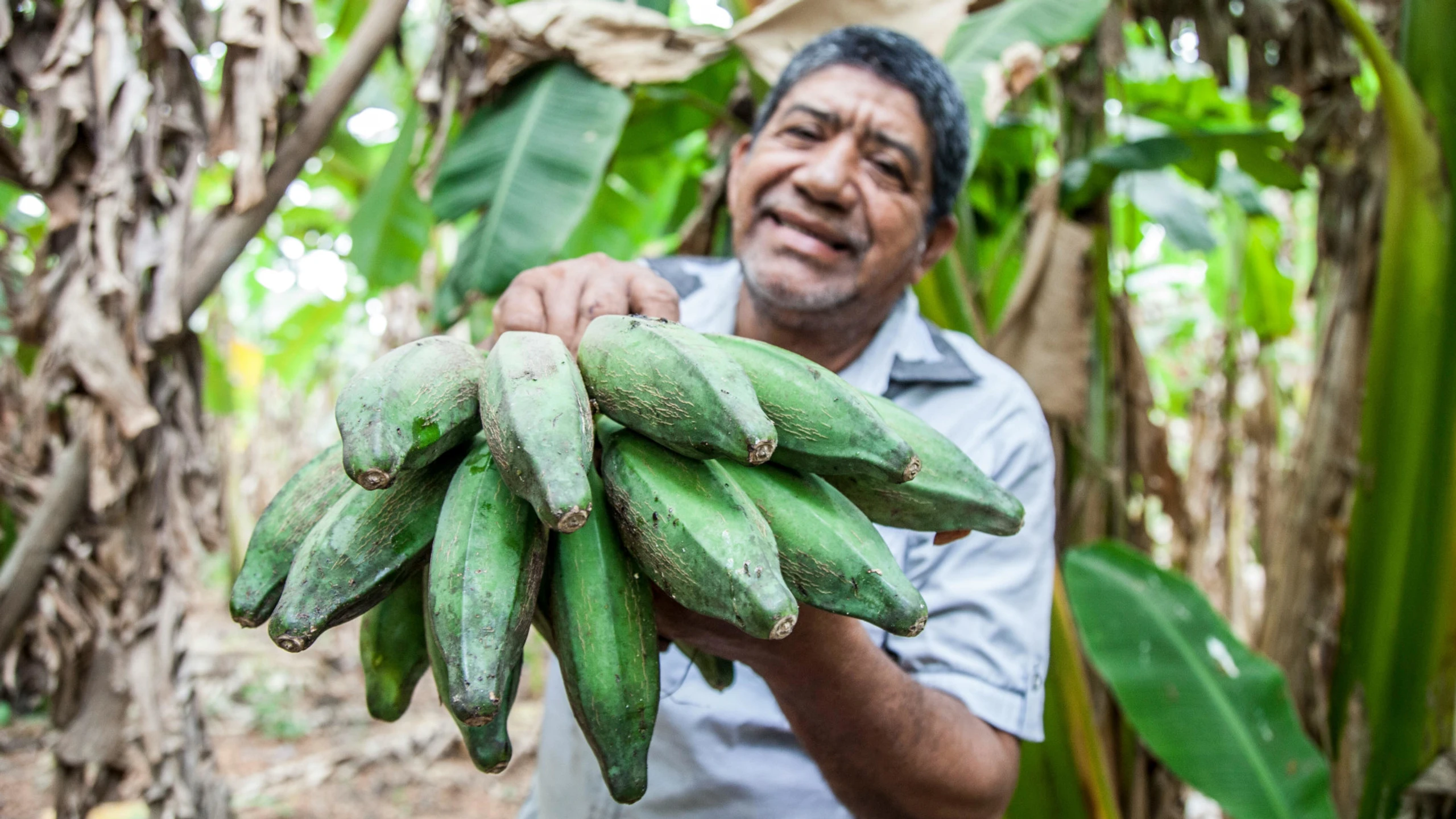Mercosur: Was bedeutet das Abkommen für Wirtschaft und Verbraucher?