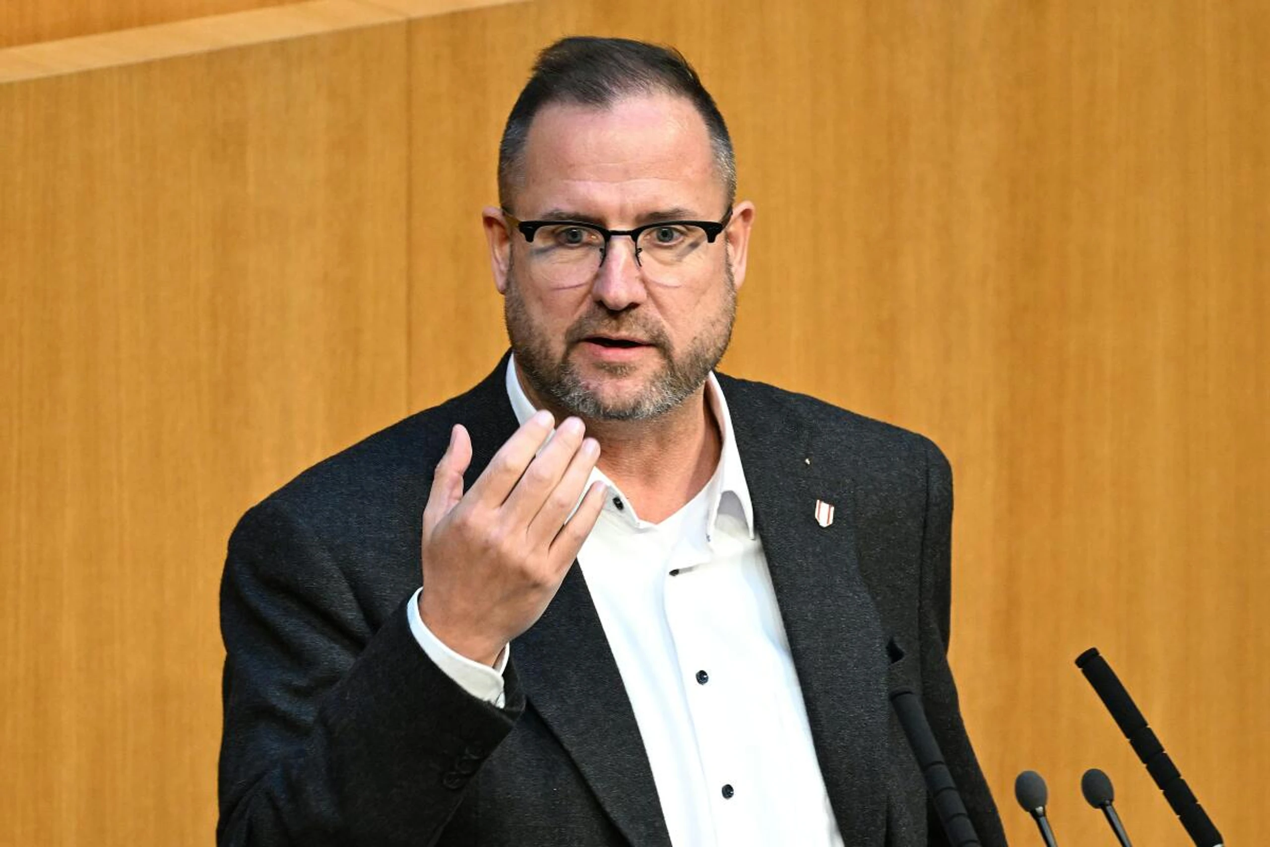 Hafenecker ist blauer Delegationsleiter im U-Ausschuss
