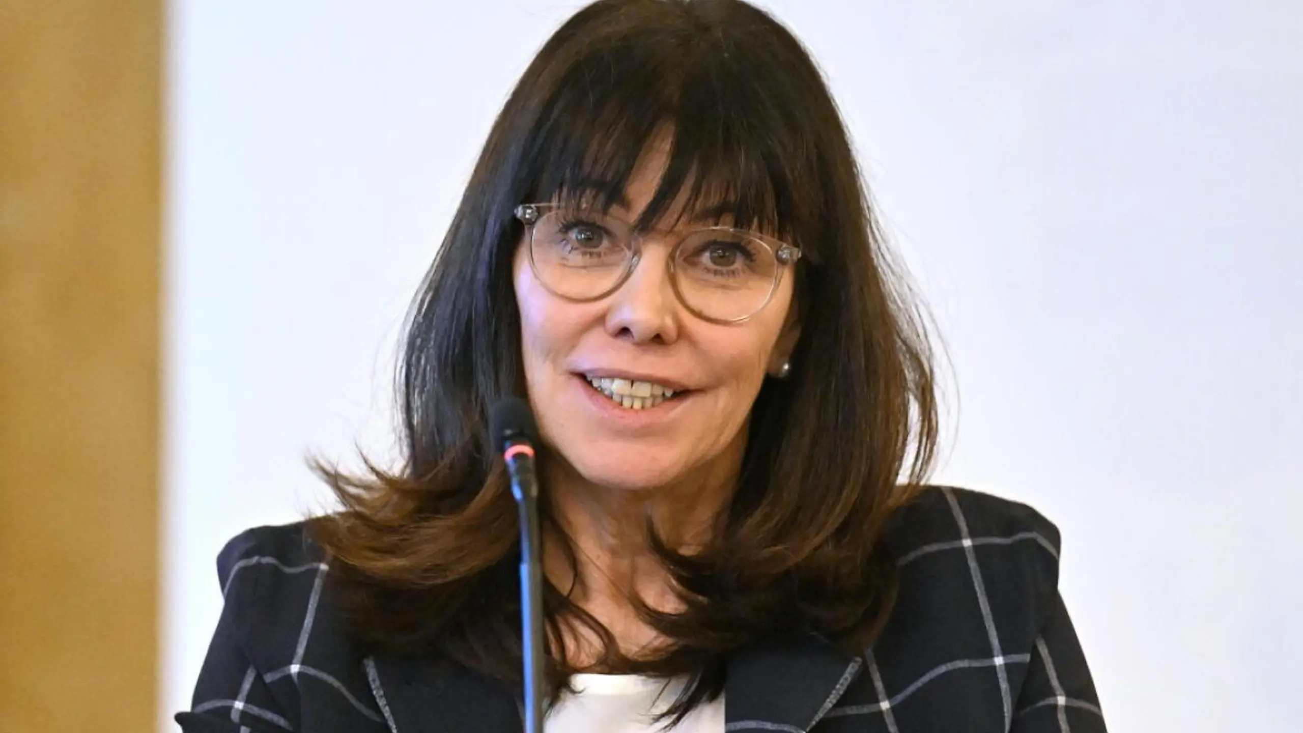 Vorschläge von WKÖ-Chefin Schultz würden das Budget stark belasten