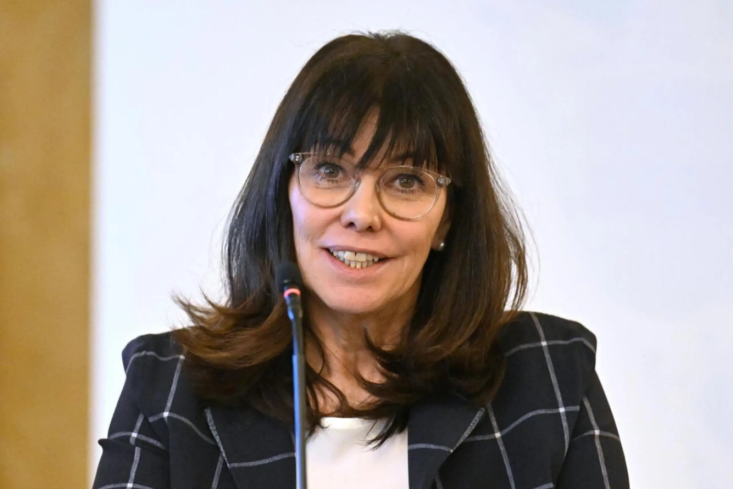 Vorschläge von WKÖ-Chefin Schultz würden das Budget stark belasten