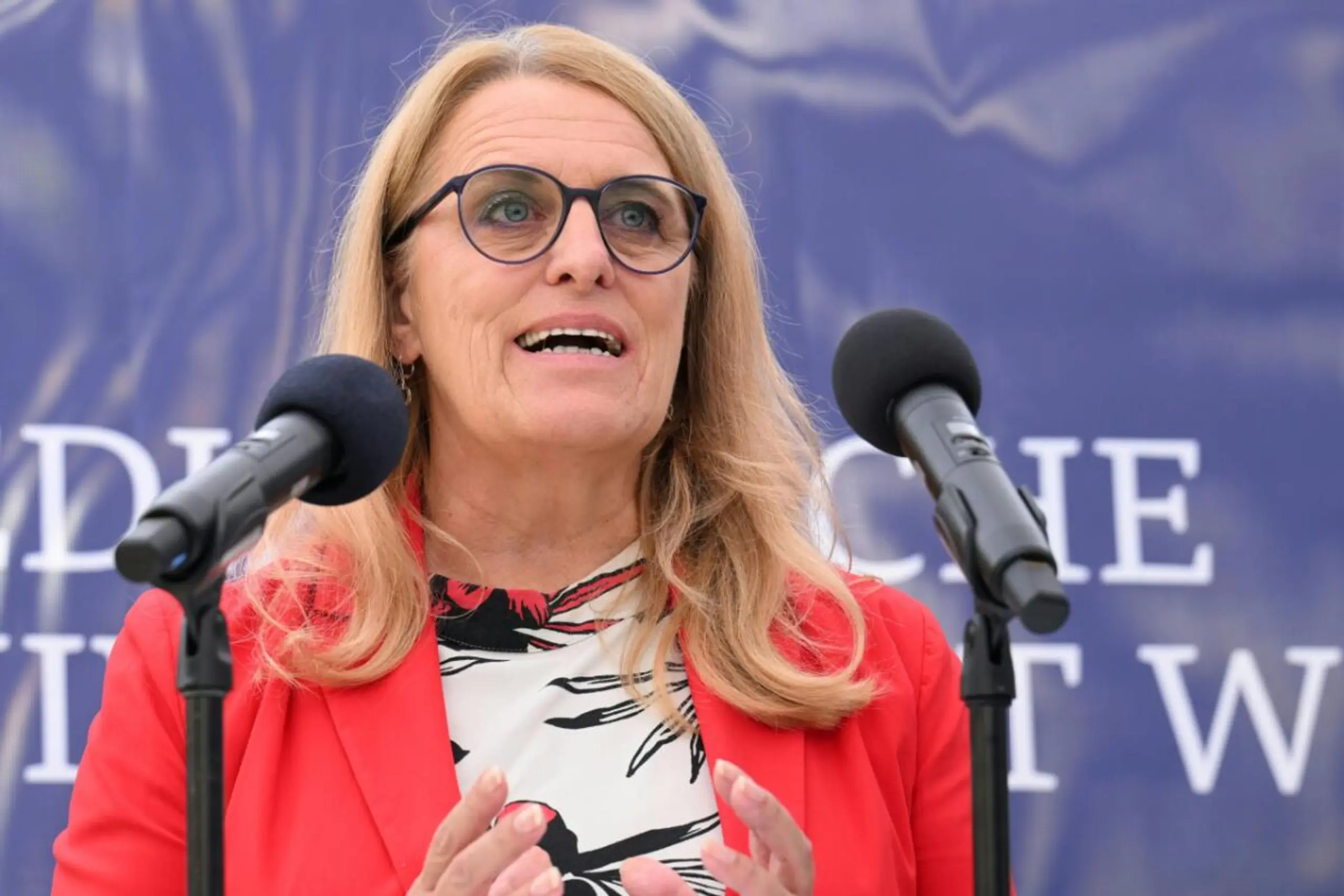 Königsberger-Ludwig will Wahlärzte einspannen