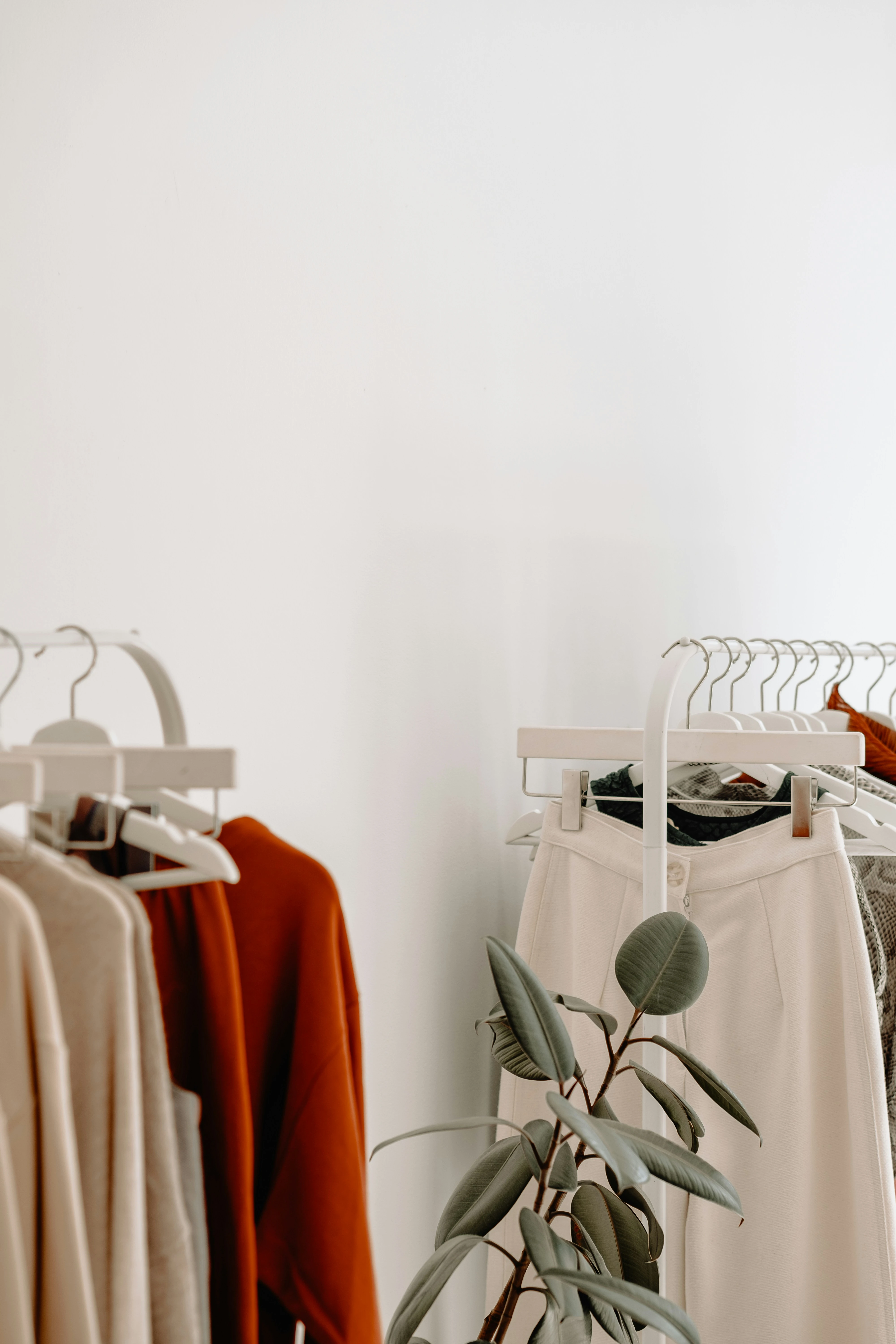 Minimalist wardrobe with neutral clothing, including sweaters and pants, and a houseplant against a white wall.