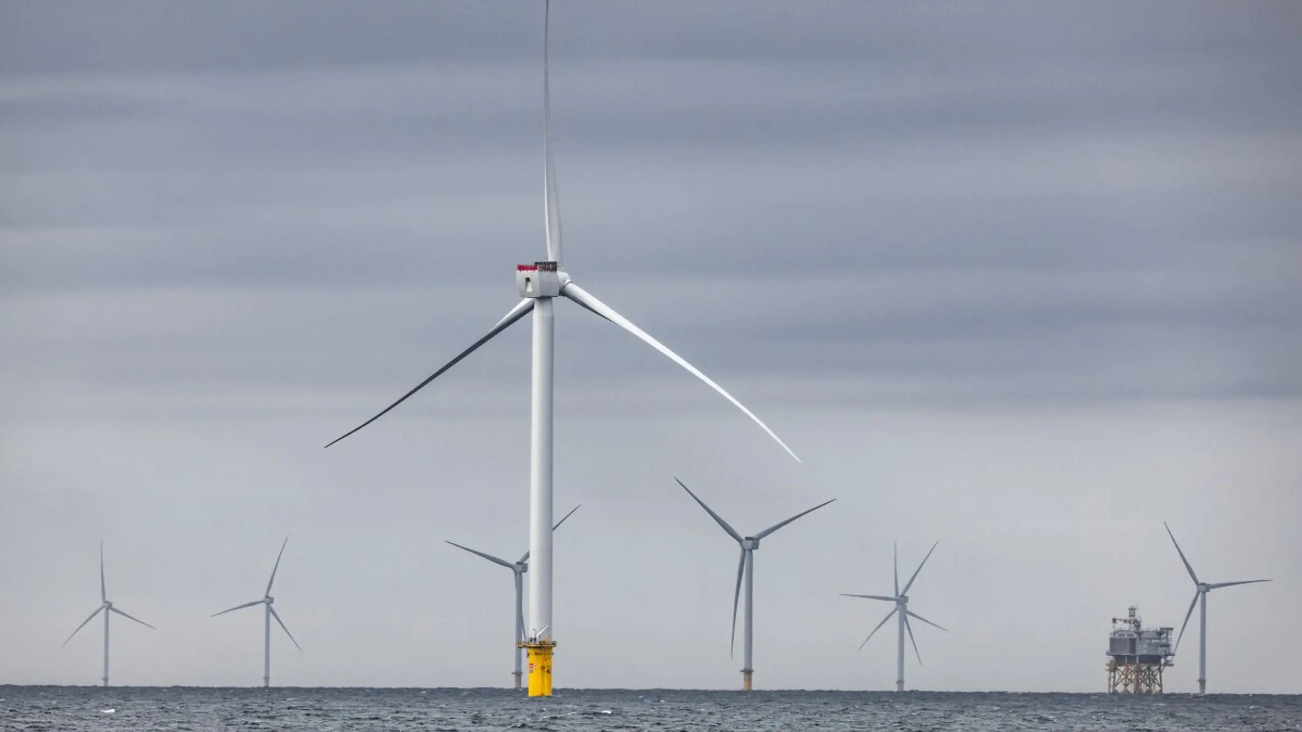 Vattenfall plant Windpark in der Nordsee