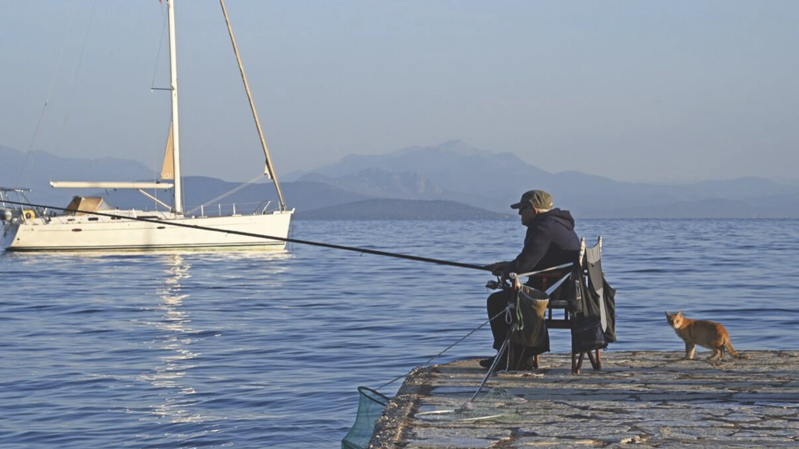 © Werner Meisinger Artikelbild