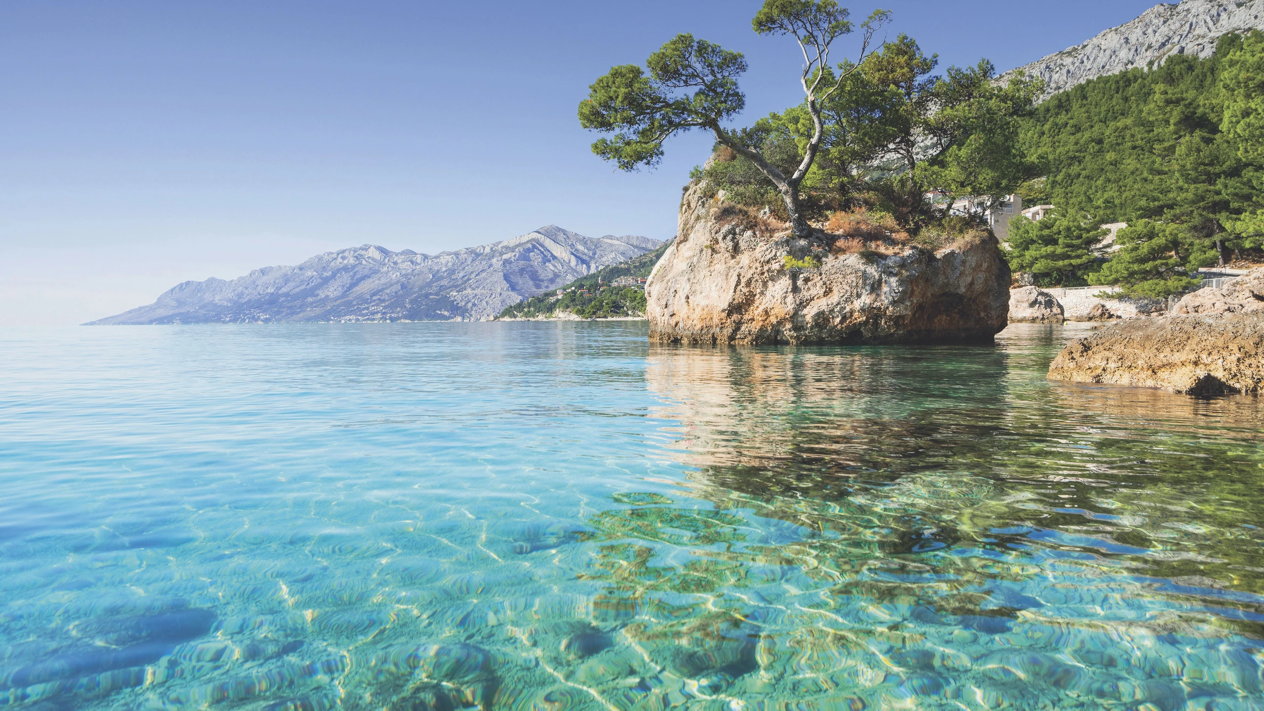 © Werner Meisinger Artikelbild