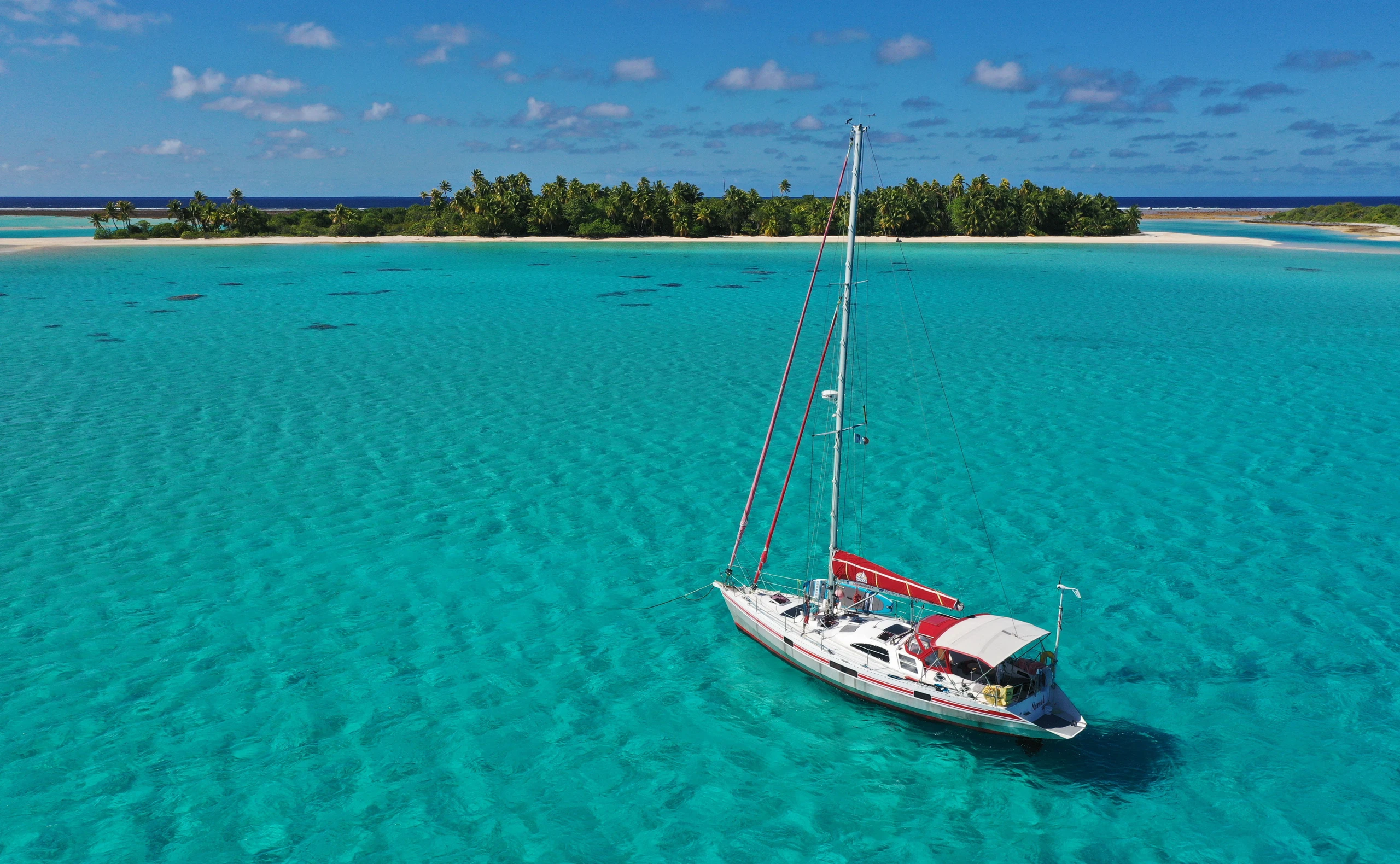 Ehrliche Wegbegleiter