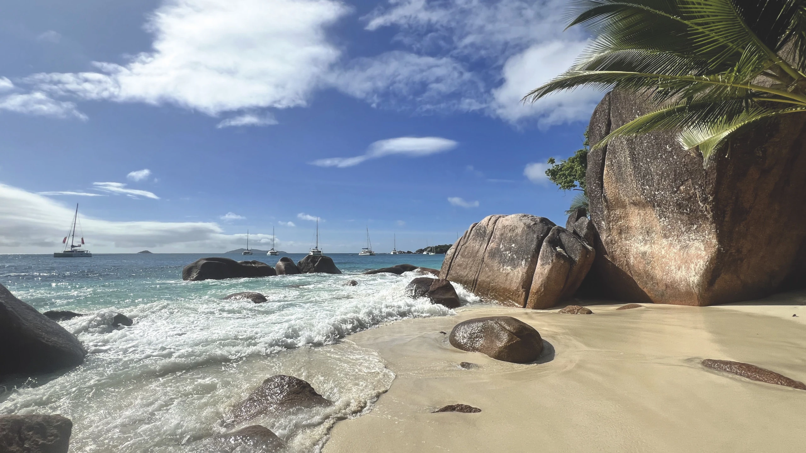 © Judith Duller-Mayrhofer Artikelbild