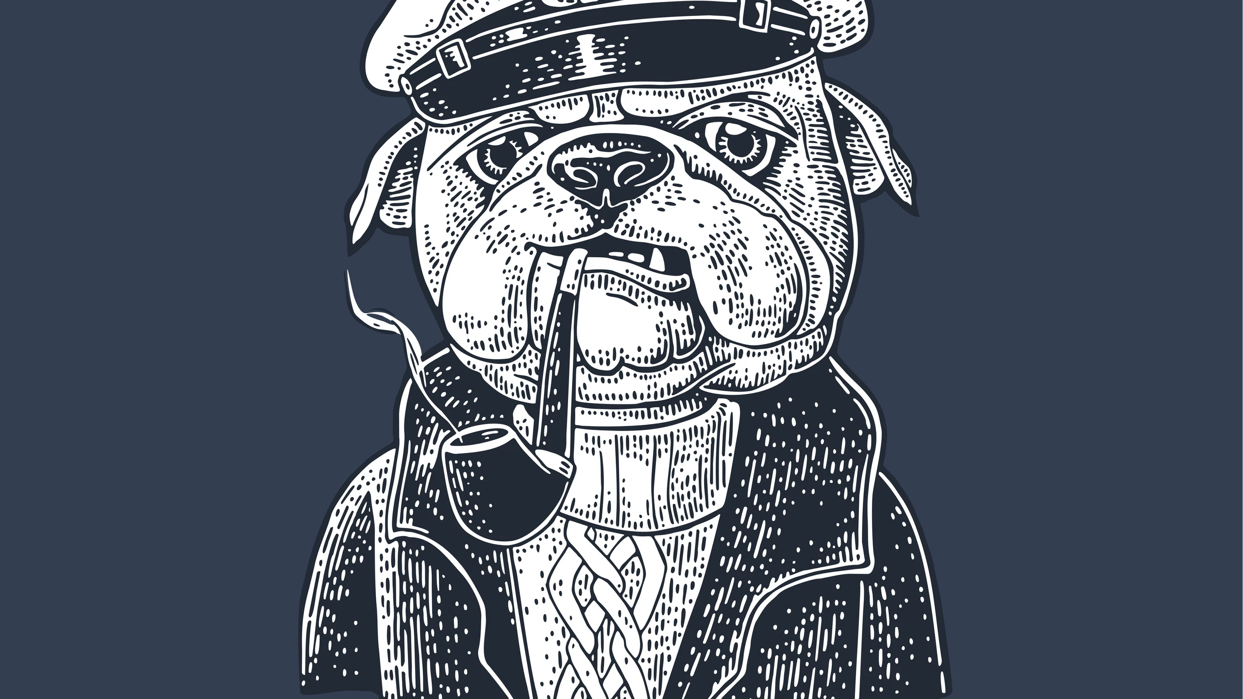 © Shutterstock Artikelbild