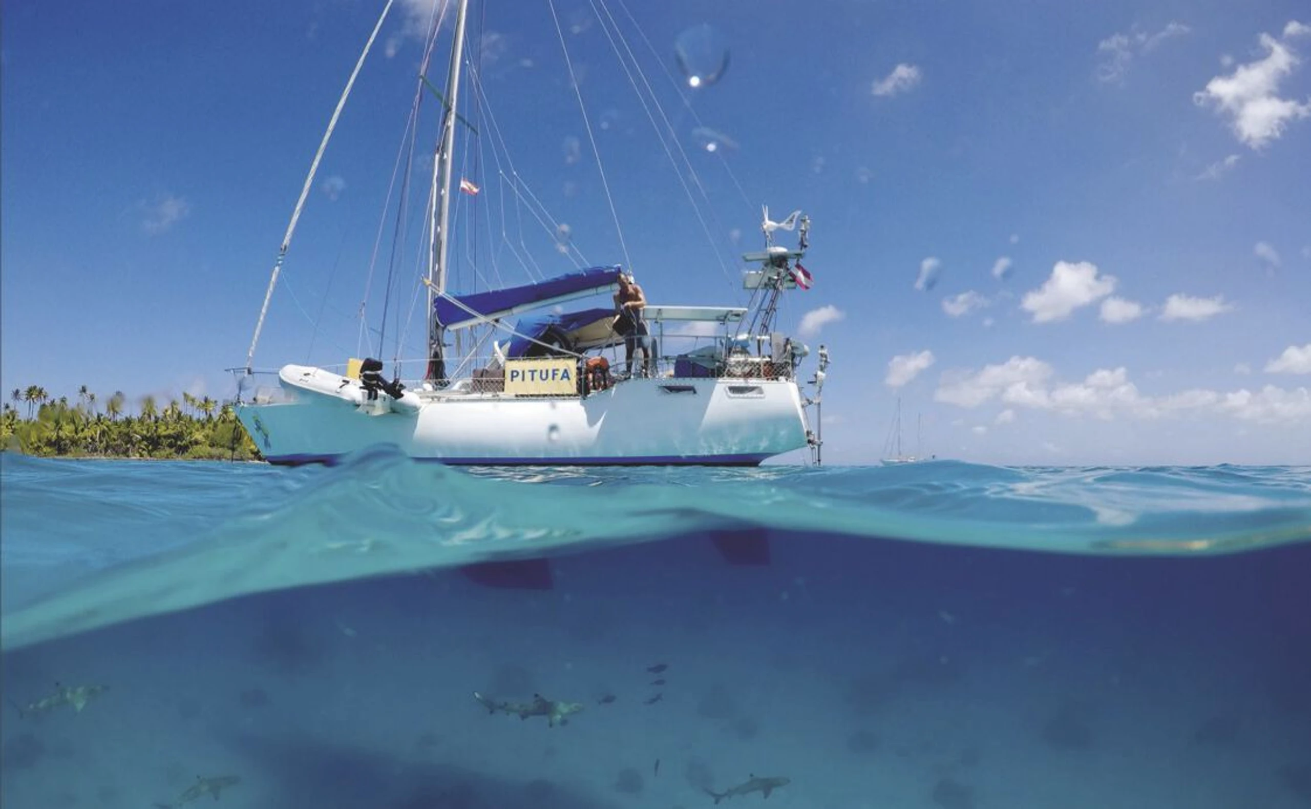 Grüner Idealismus im großen Blau