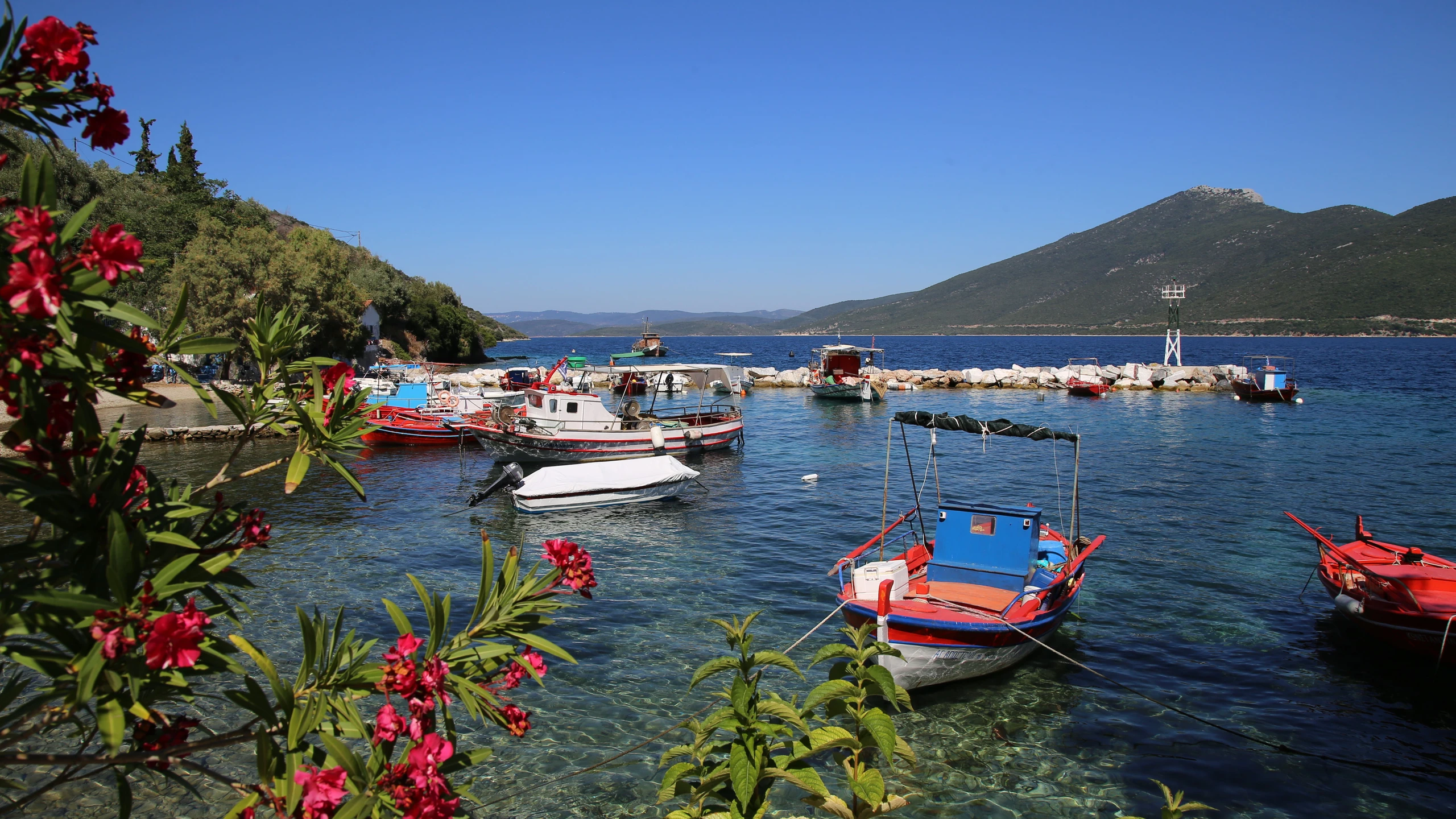 © duller Artikelbild