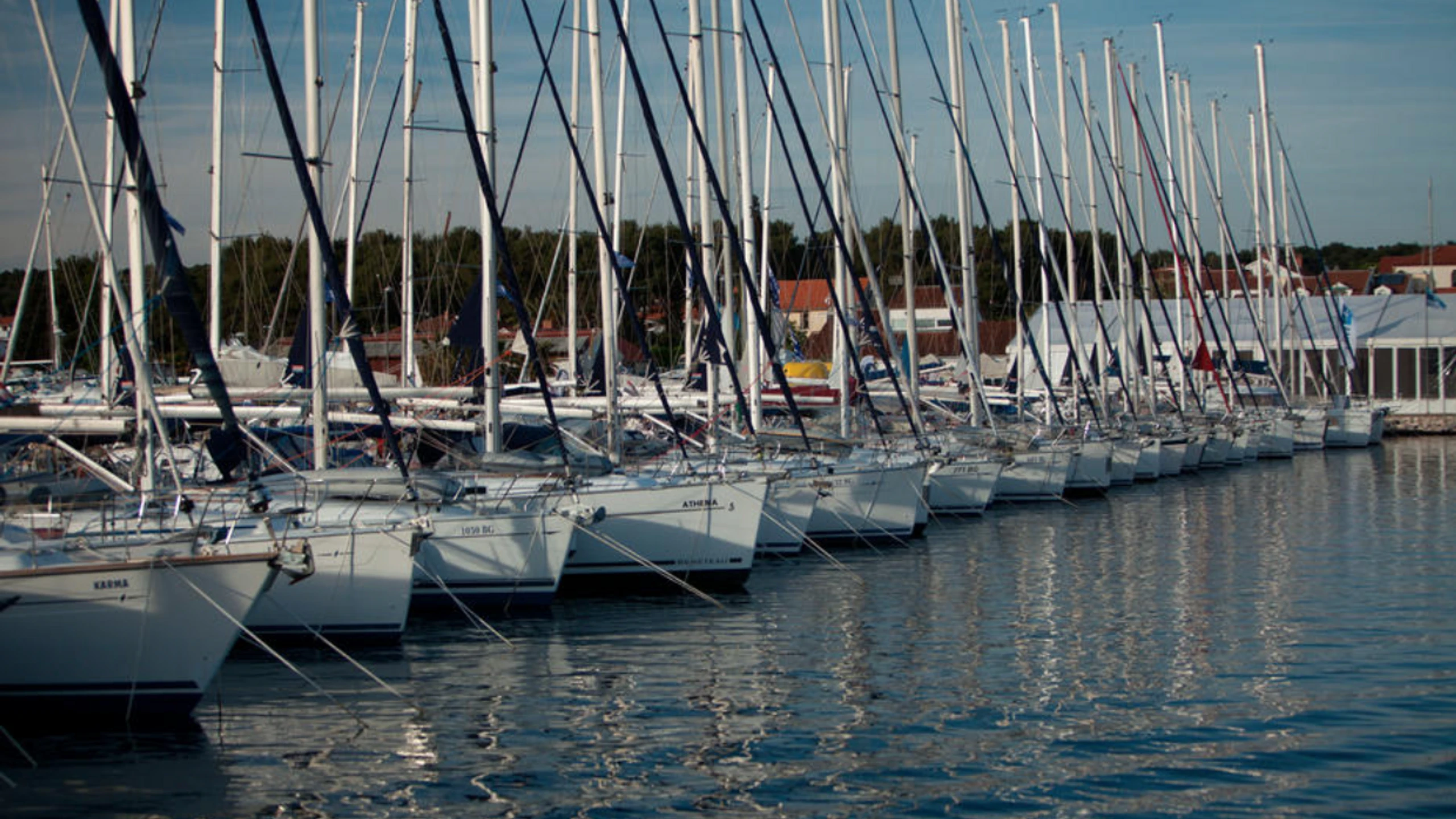 © Verena Diethelm Artikelbild