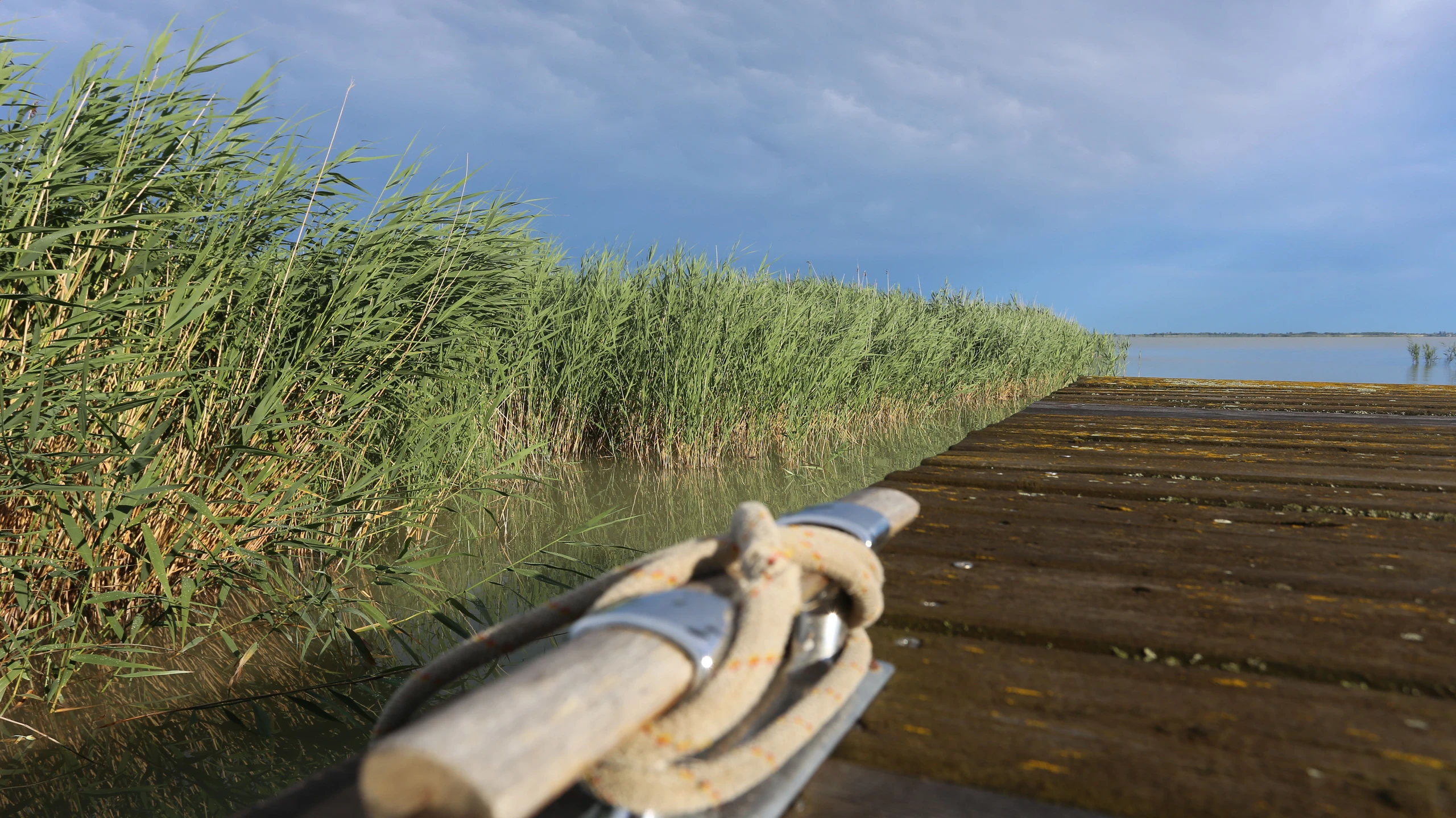 © Duller Artikelbild