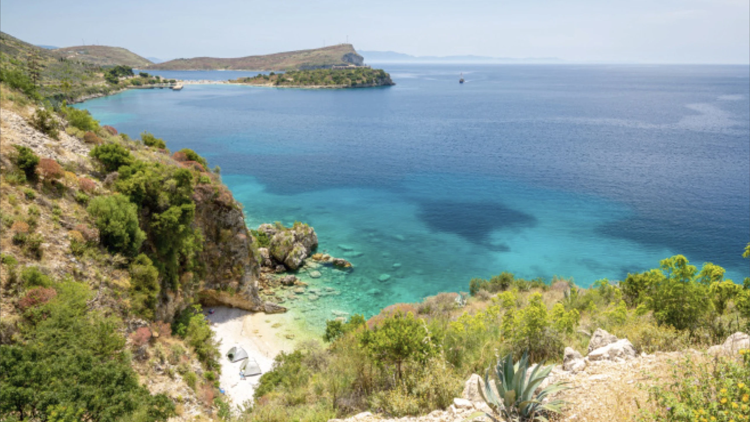 © Shutterstock Artikelbild