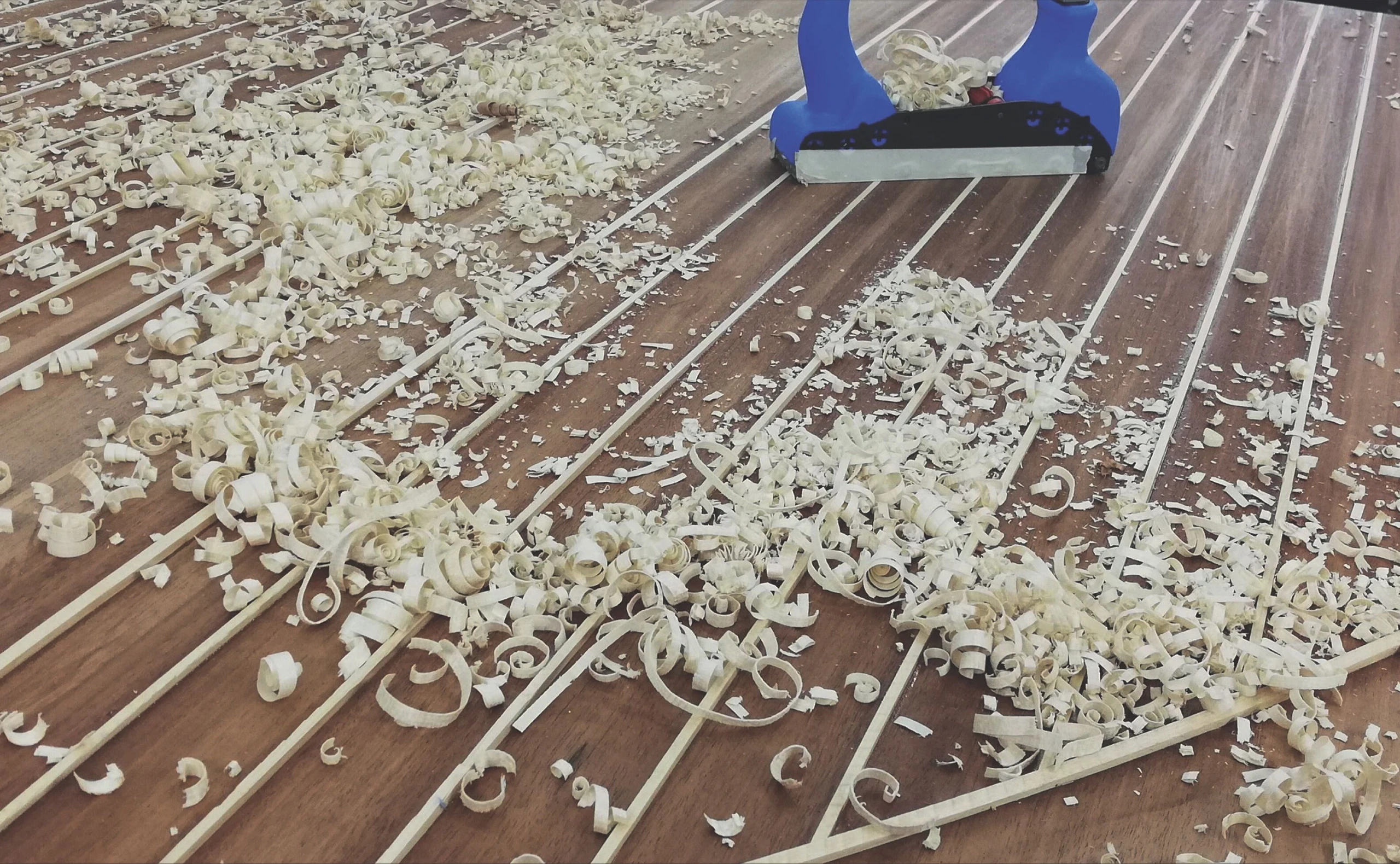 Wachgeküsste Schönheit